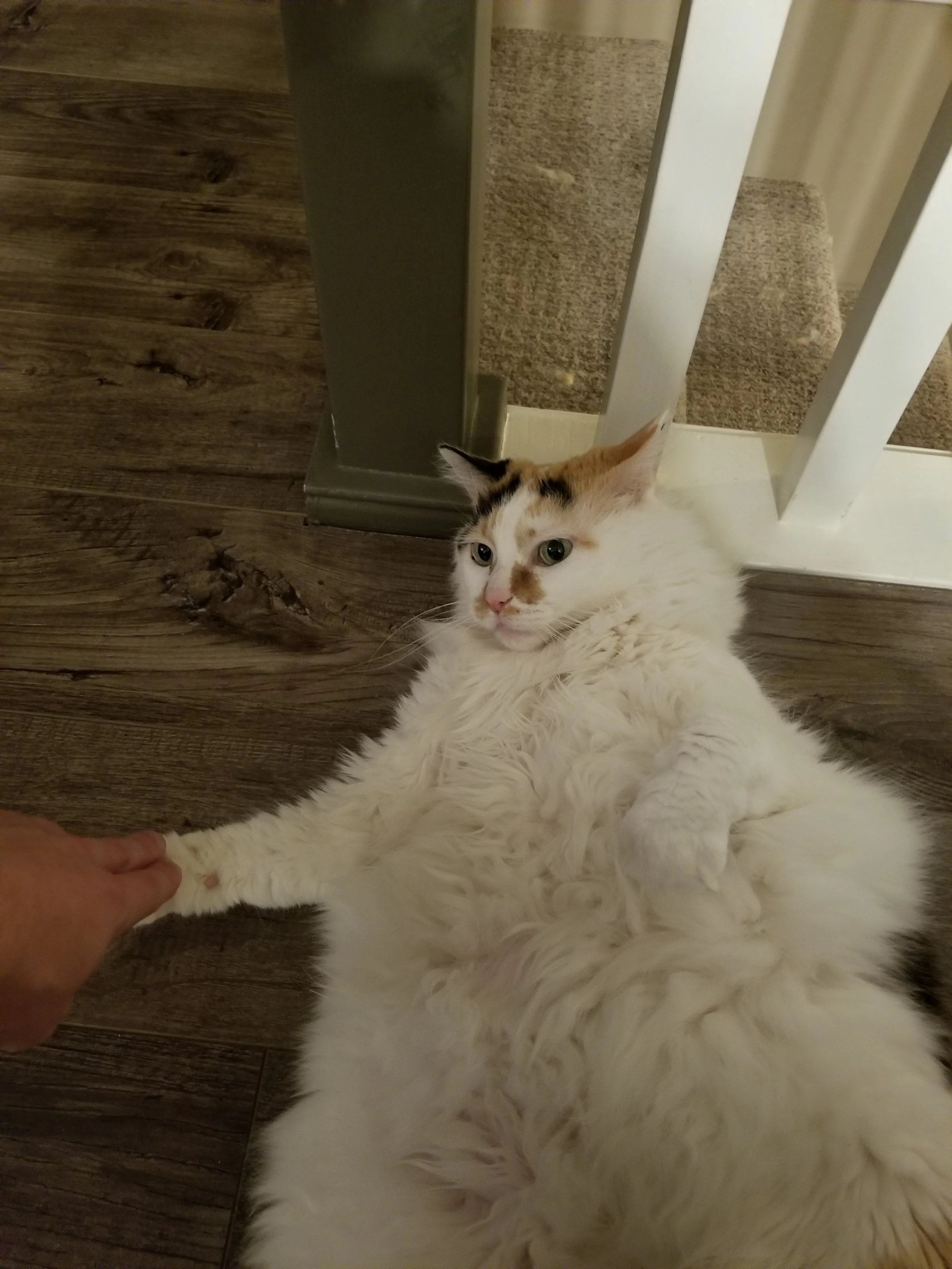 20181005_193035.jpg