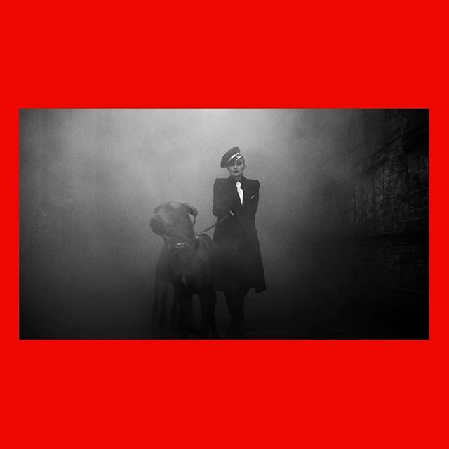 Talk about an entrance. 💣💥 A still from  HER-STORY with @madonna and the amazing @luigiandiango . It was a pleasure to produce such a special piece with this team.
.
.
Shout out to the co-stars of this scene George &amp; Alfred 🐕🐕 and their papa 