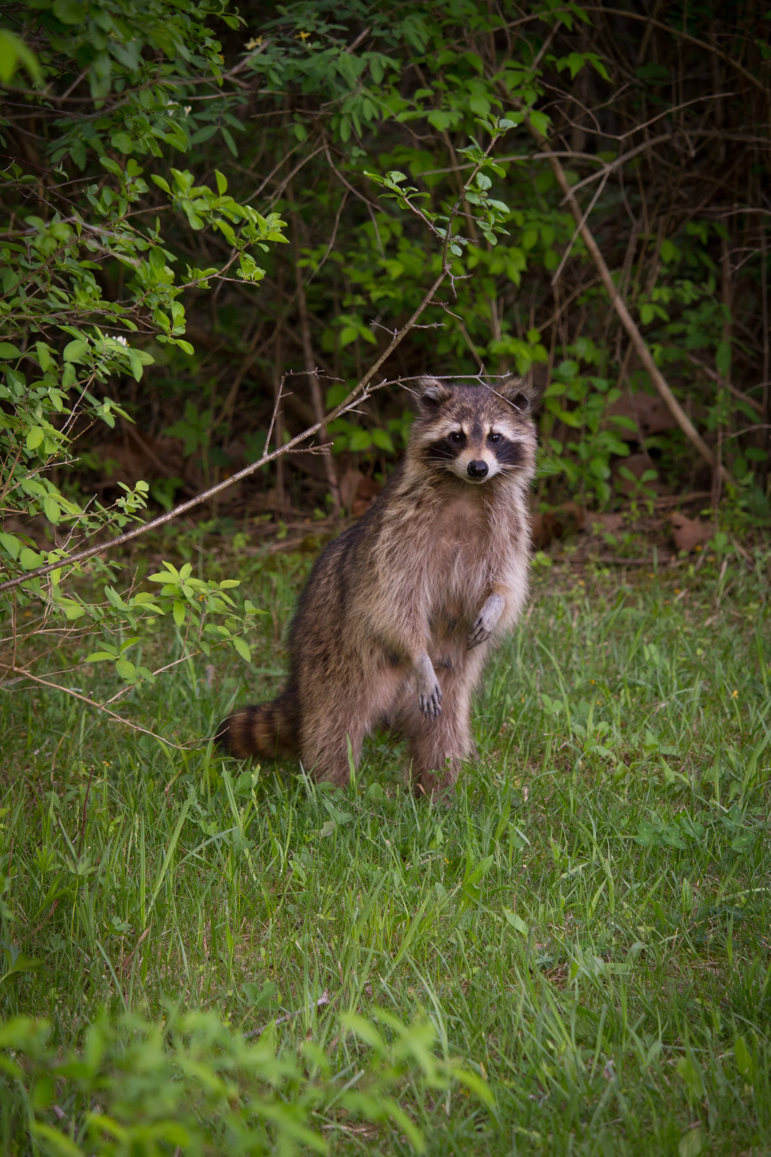 We had an unexpected guest during this session! Took us all by surprise! 