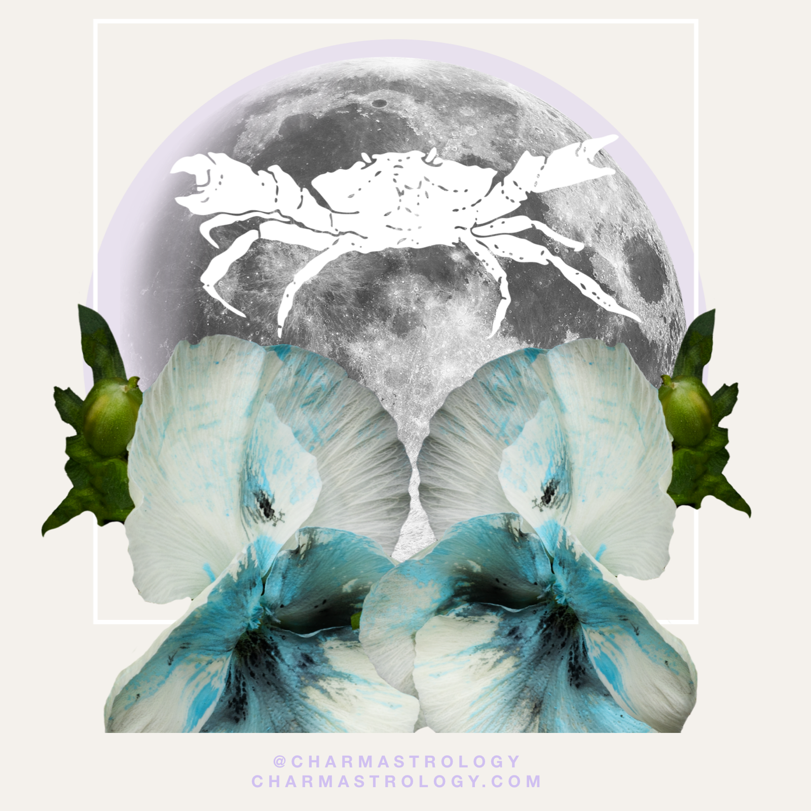 Full Moon In Cancer 2018 - Empathy Can Be The Hardest Work