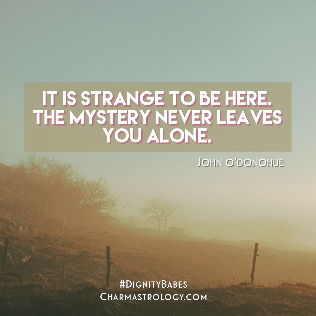 STRUCTURE &amp; SURRENDER