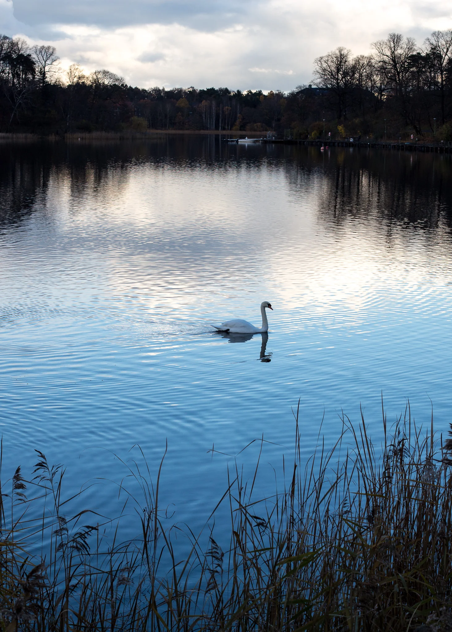 20171111_Hagaparken-8_webb.jpg