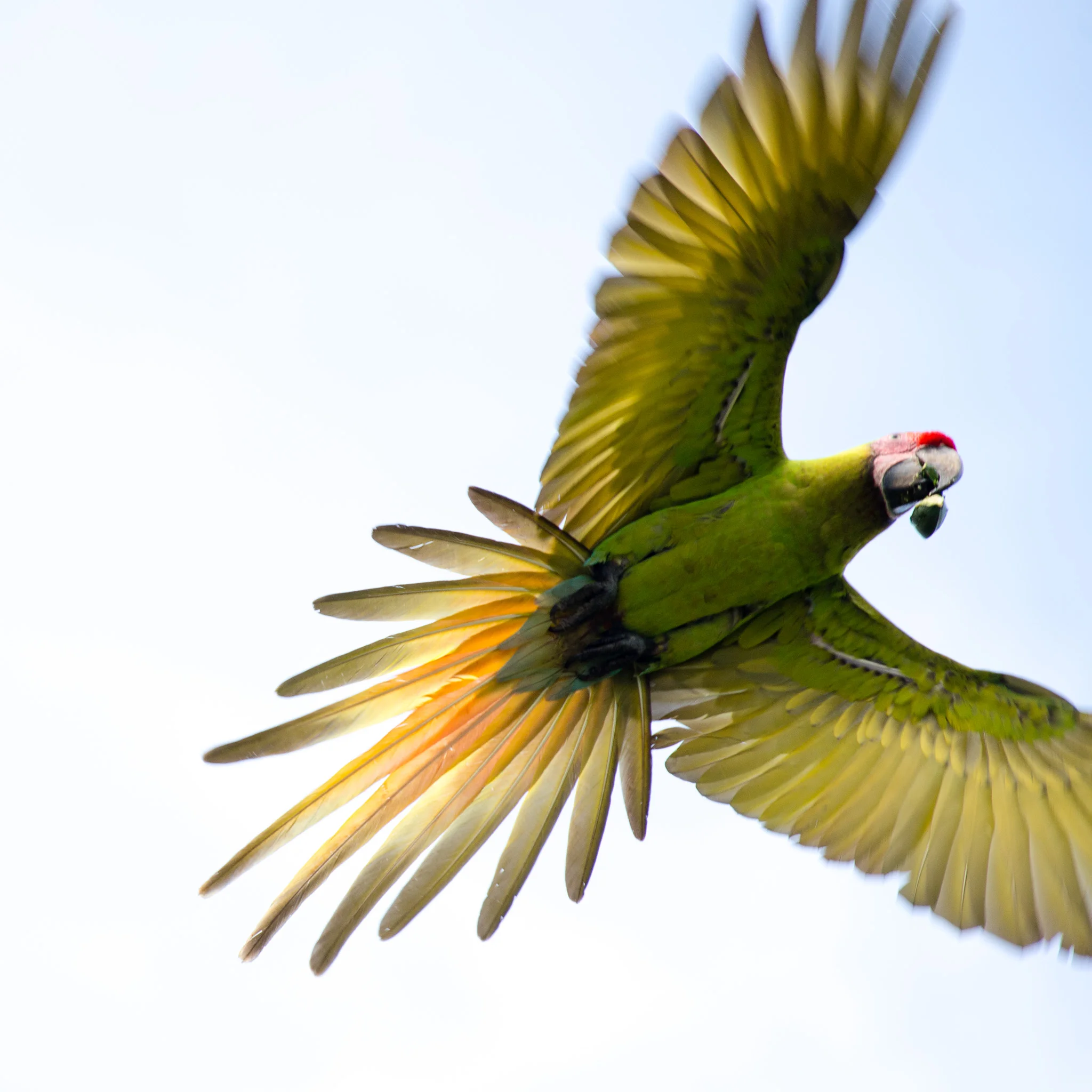 CostaRica29December-269_webb.jpg