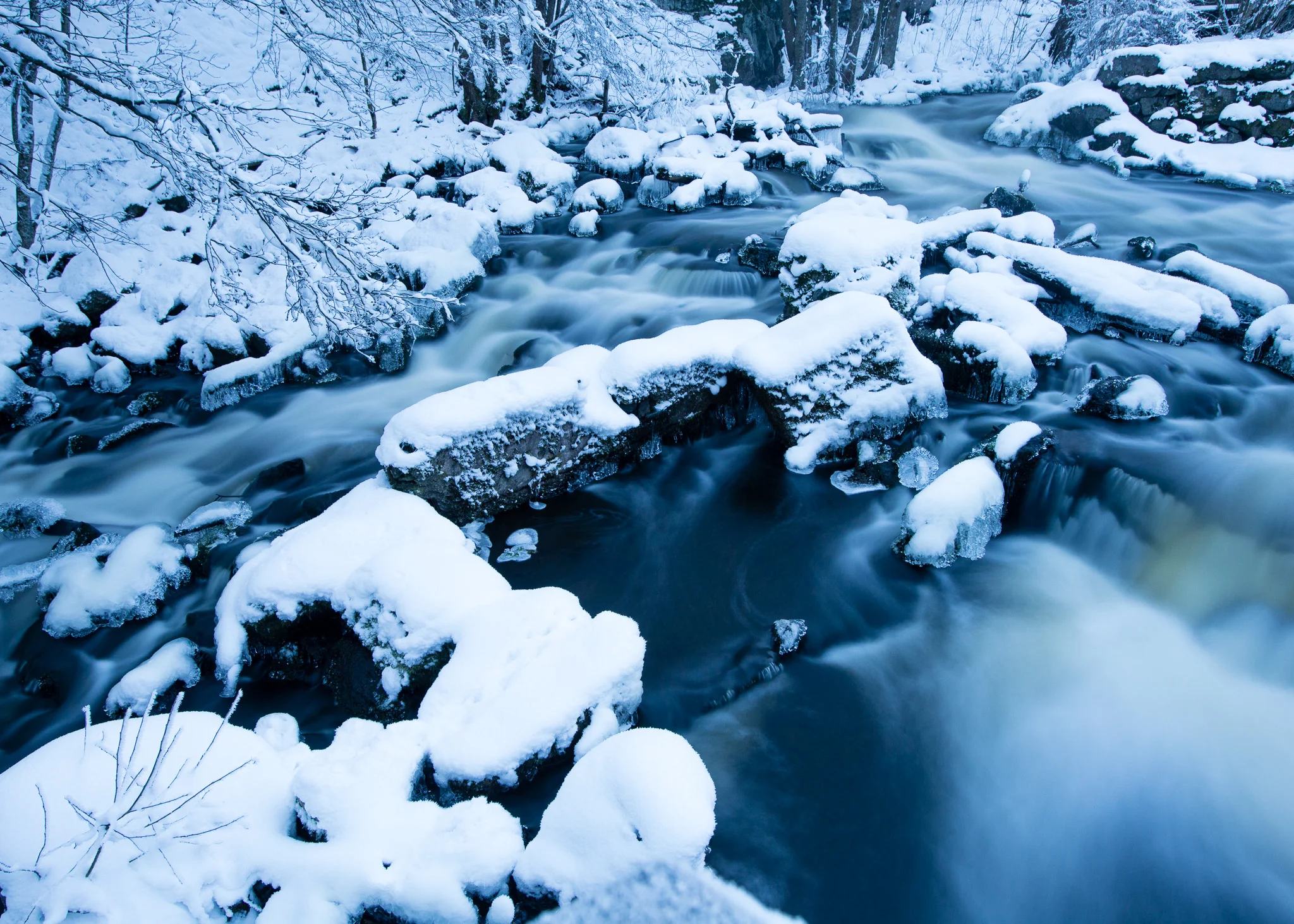 Ingrid Walter_Nyfors180120_1-6_webb.jpg
