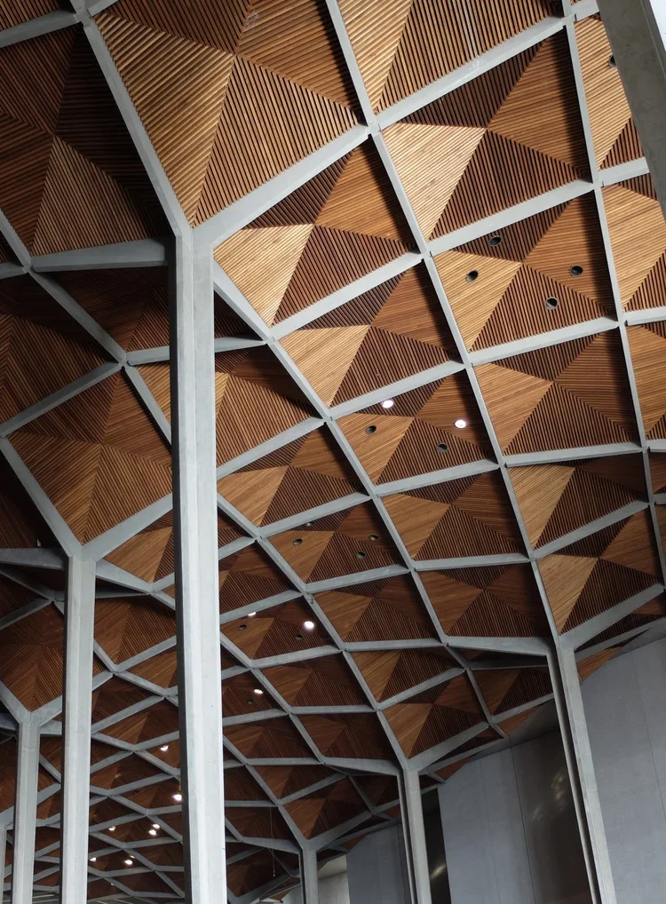 DSCF7497.webp