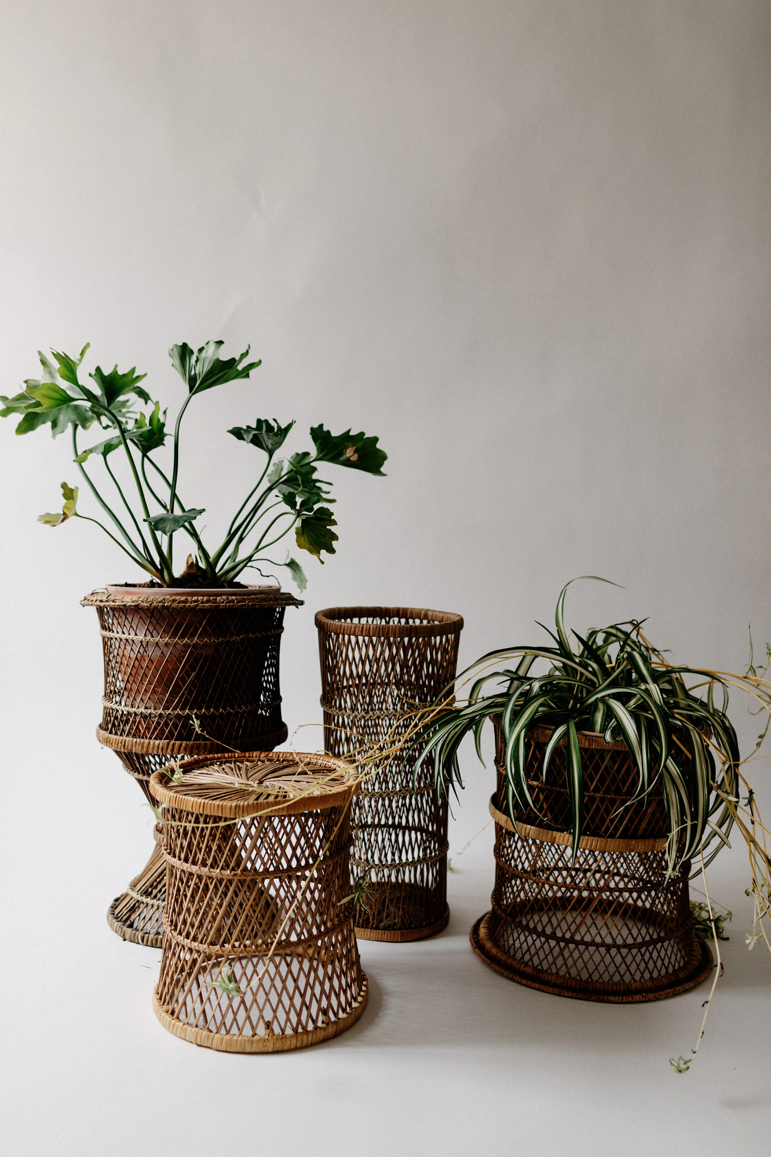 Rattan Planters