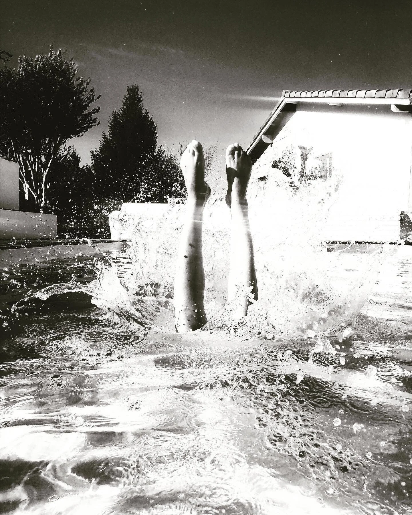 The current New Moon in Leo with its light energy is asking us to take some time for enjoyment and pleasure this week. Ok, here we go 💦

#bewater #pooltime #joy #frenchsummer
📷 @murakamycom 🤍