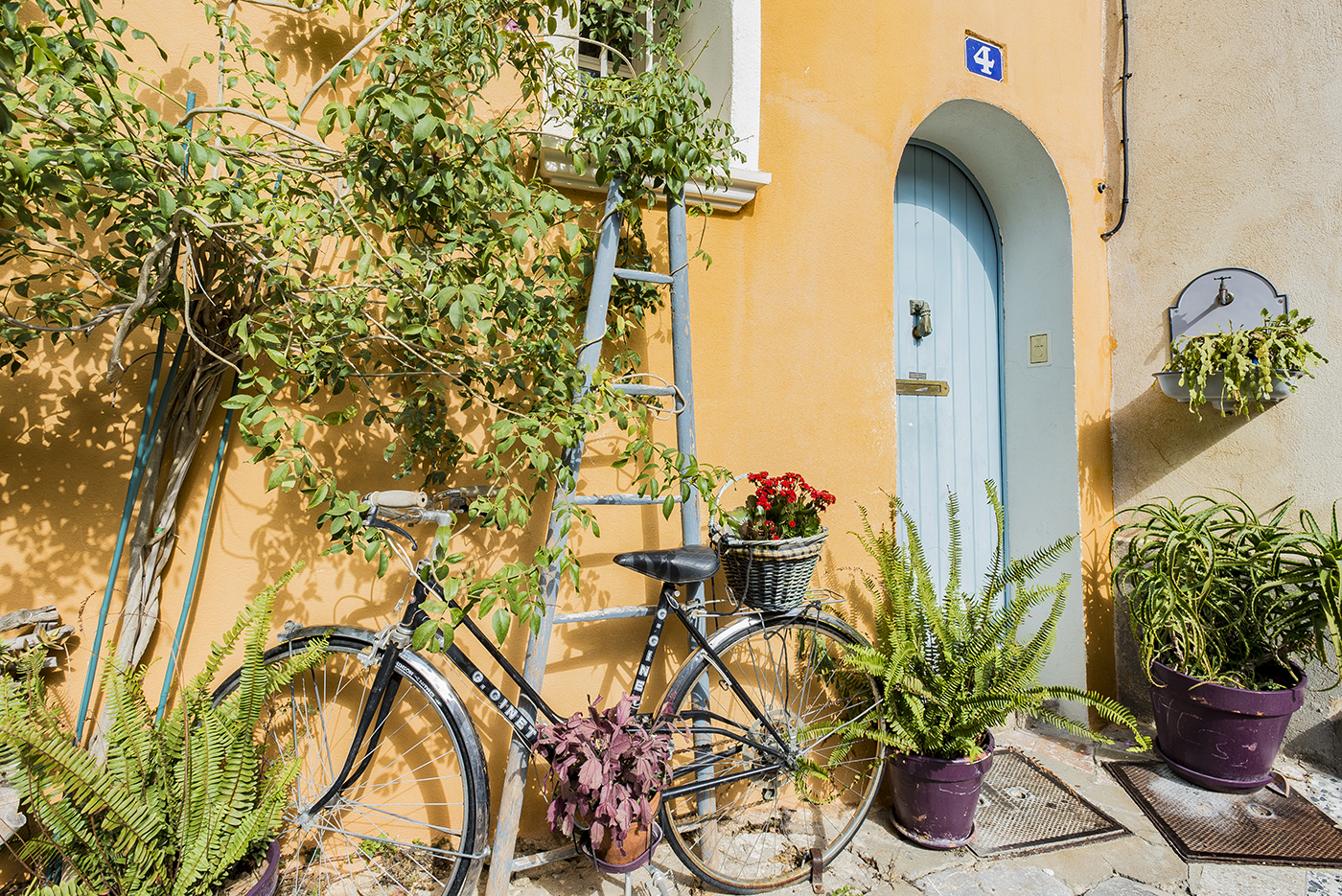 8.   Bike and Door France.jpg