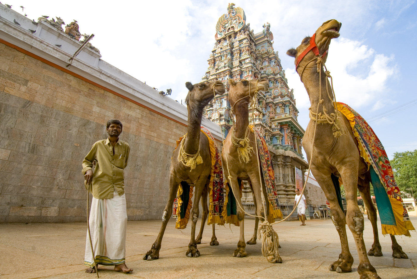 3.   Man, temple & camels.jpg