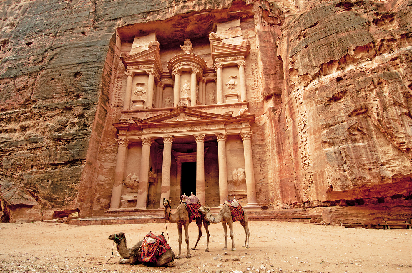 4.   Camels & Petra.jpg