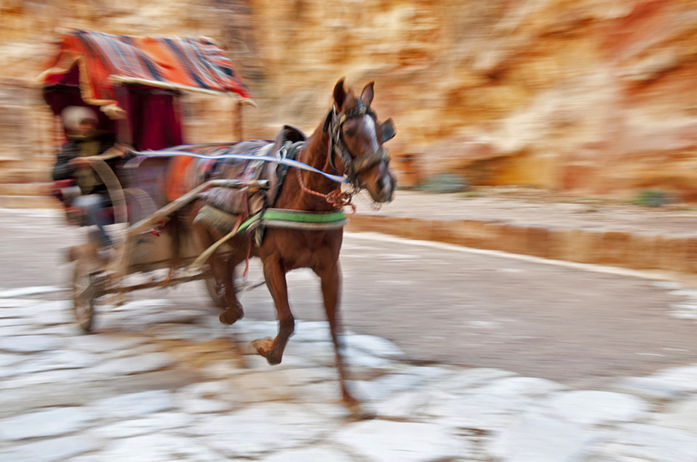 12.   Donkey cart in Petra.jpg