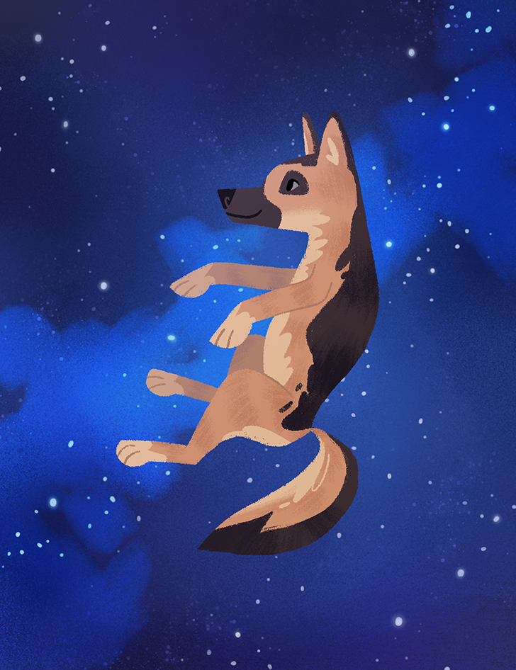 FloatingDogeSmall2.png