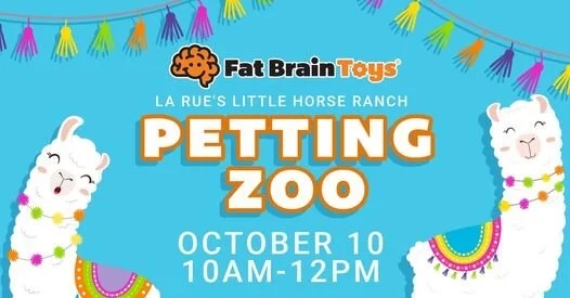 pettingzoo.jpg