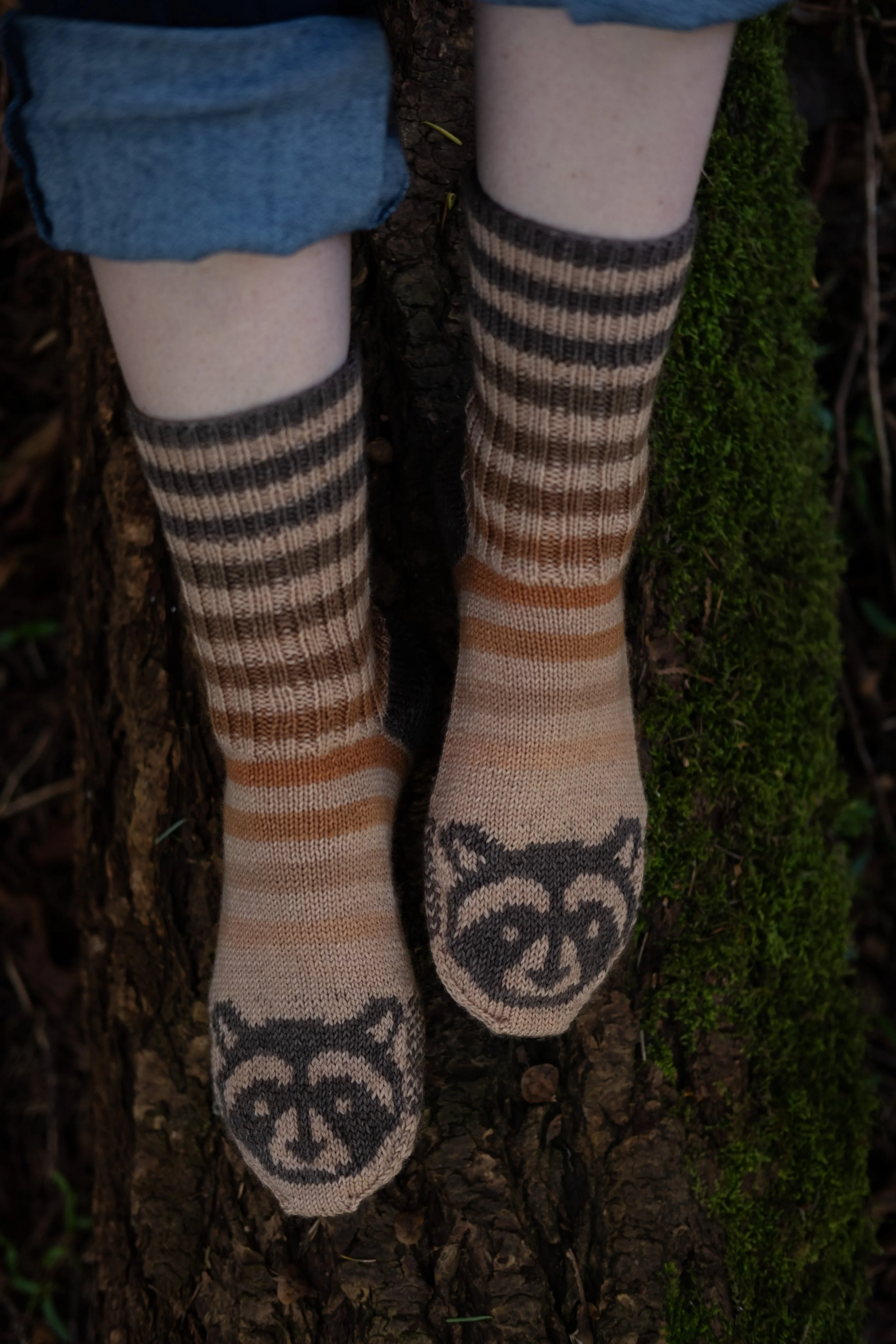 Raccoon Socks 2025-47.jpg