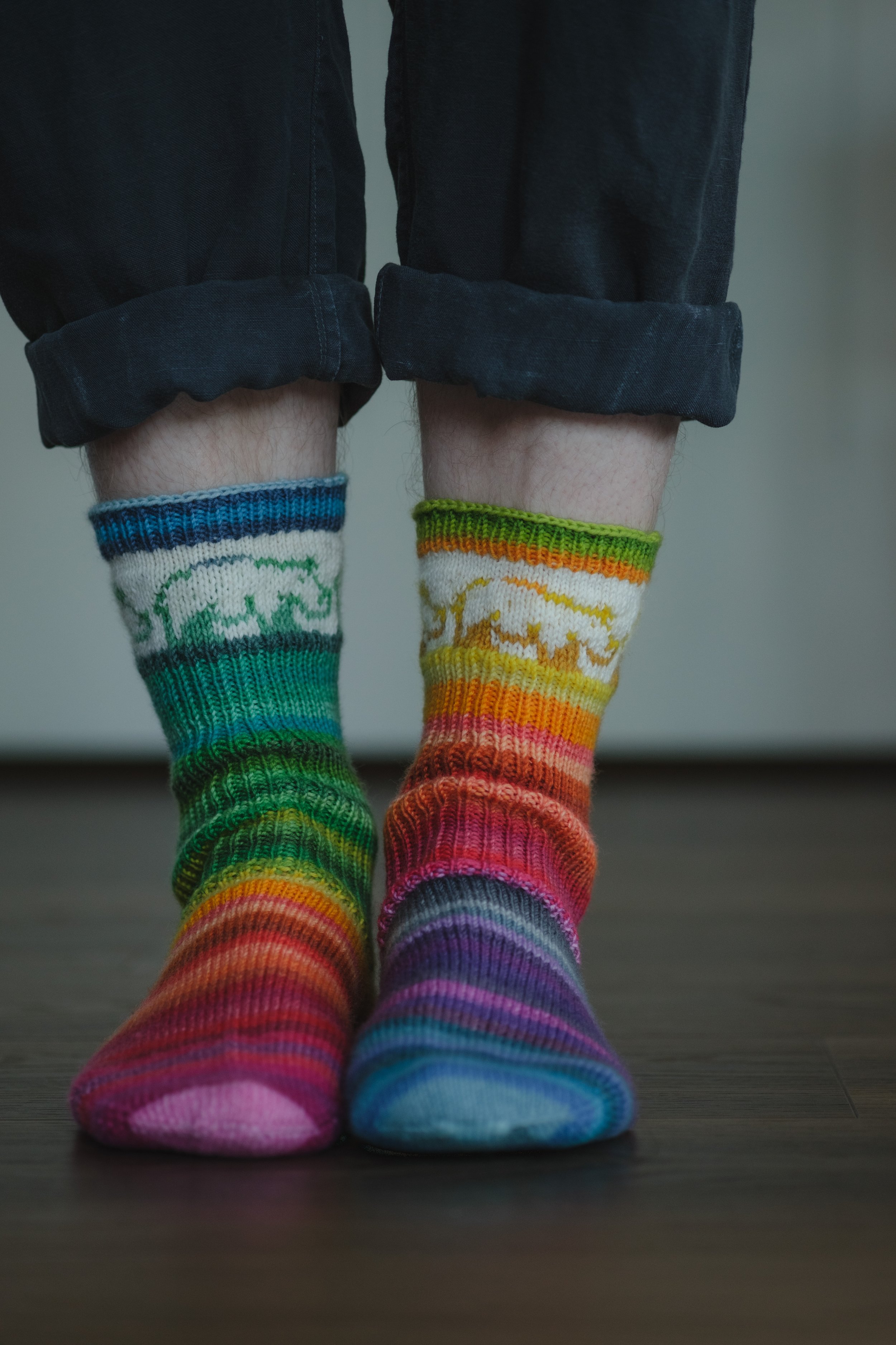 Rainbow Hippo Socks! 🌈🧦🦛 — Andrea Rangel