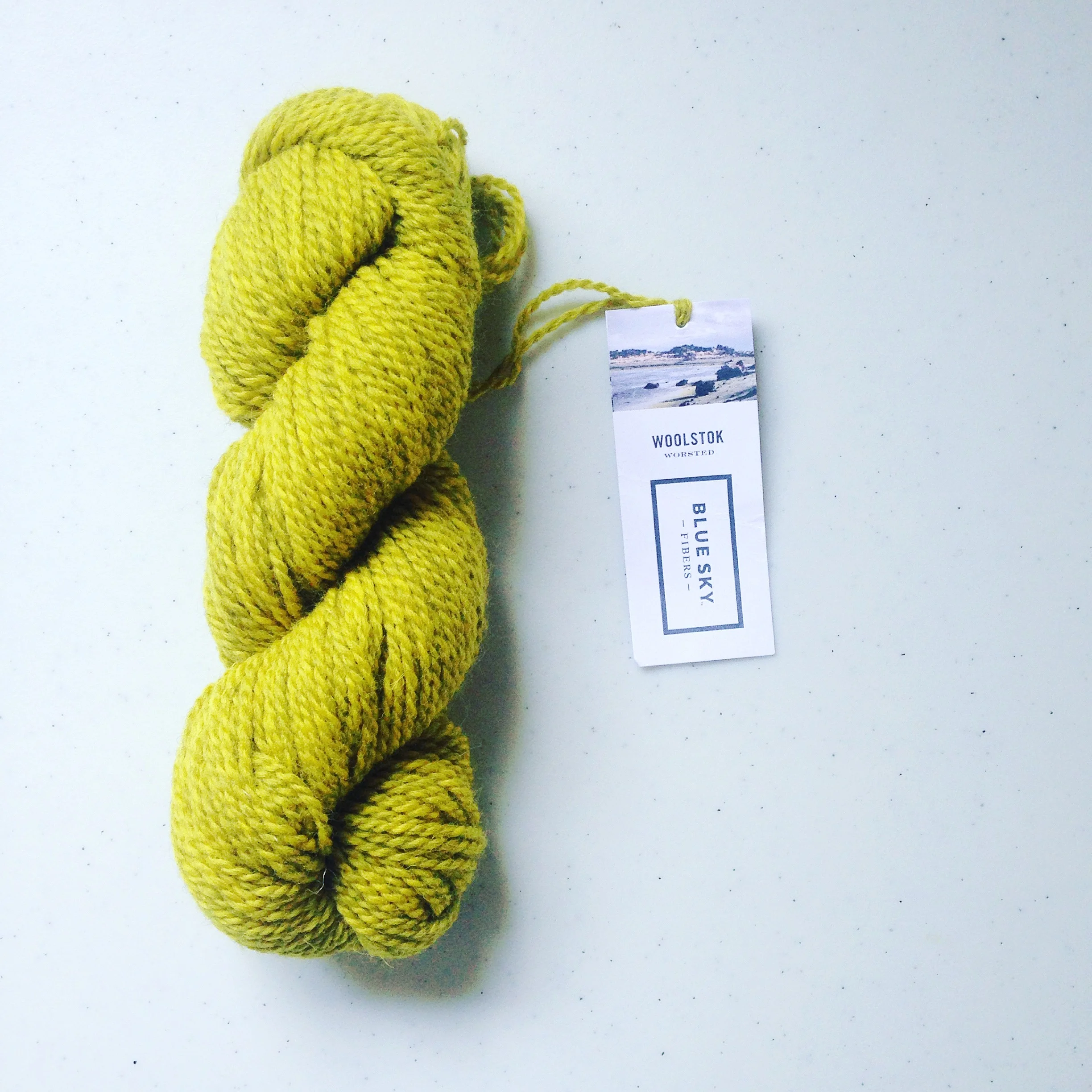 Blue Sky Fibers Woolstok