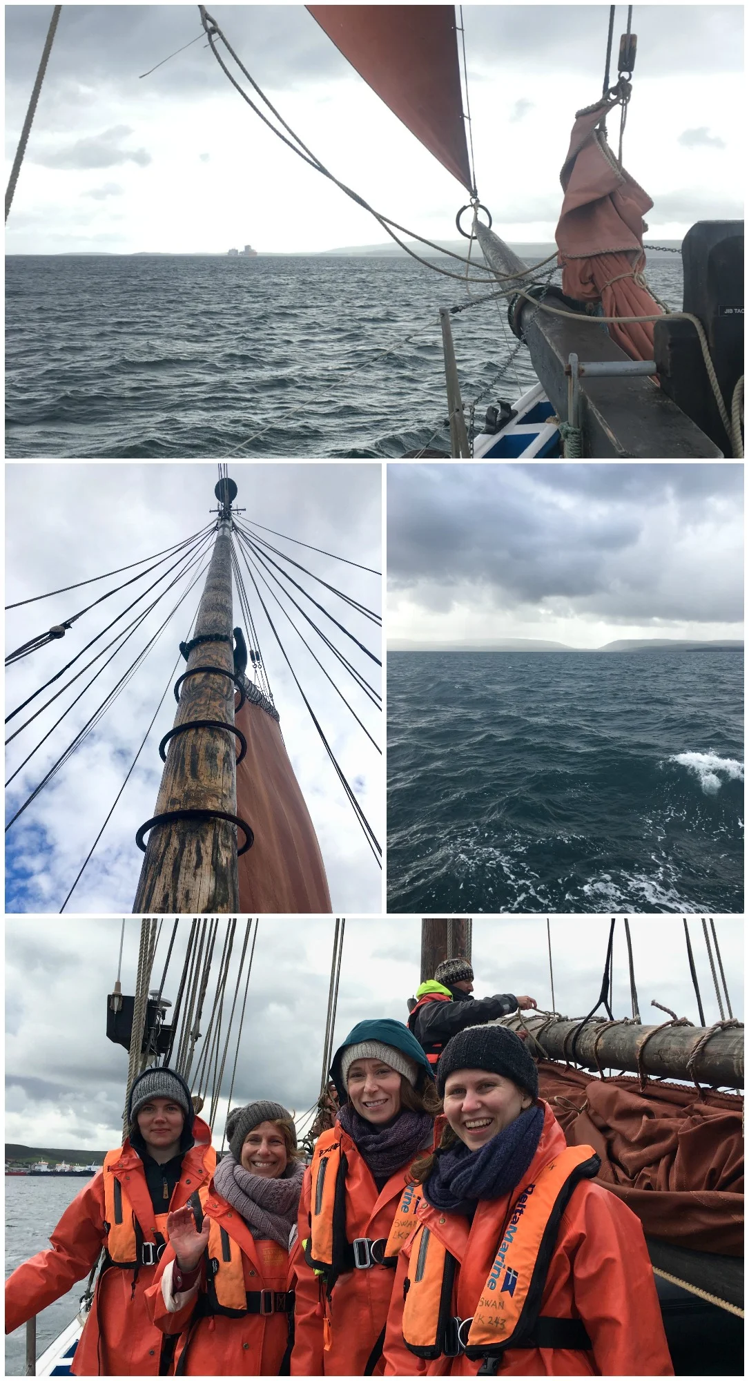 Swan_boat_collage.jpg