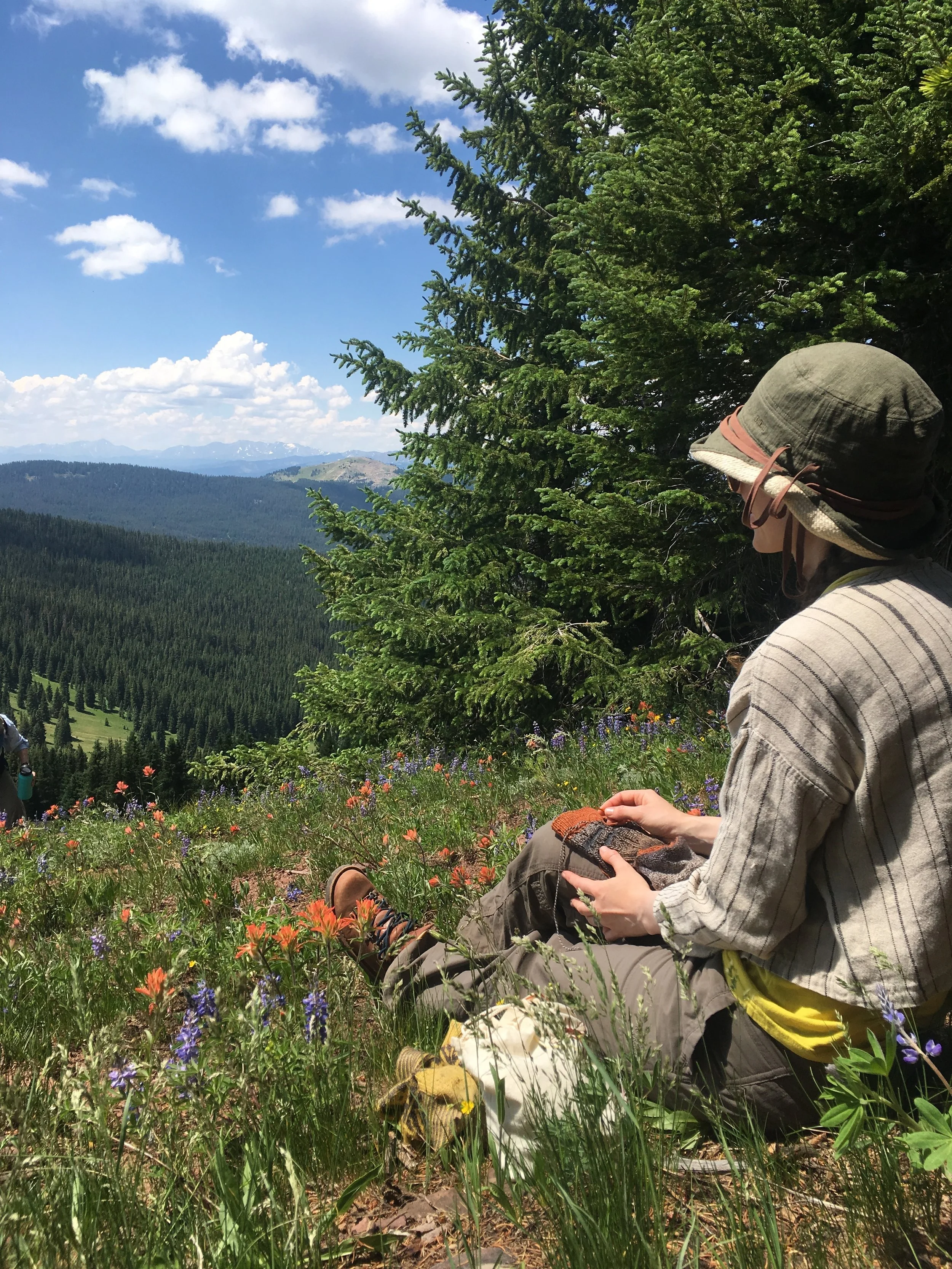 Wildflowers & Wool in the Colorado Mountains
