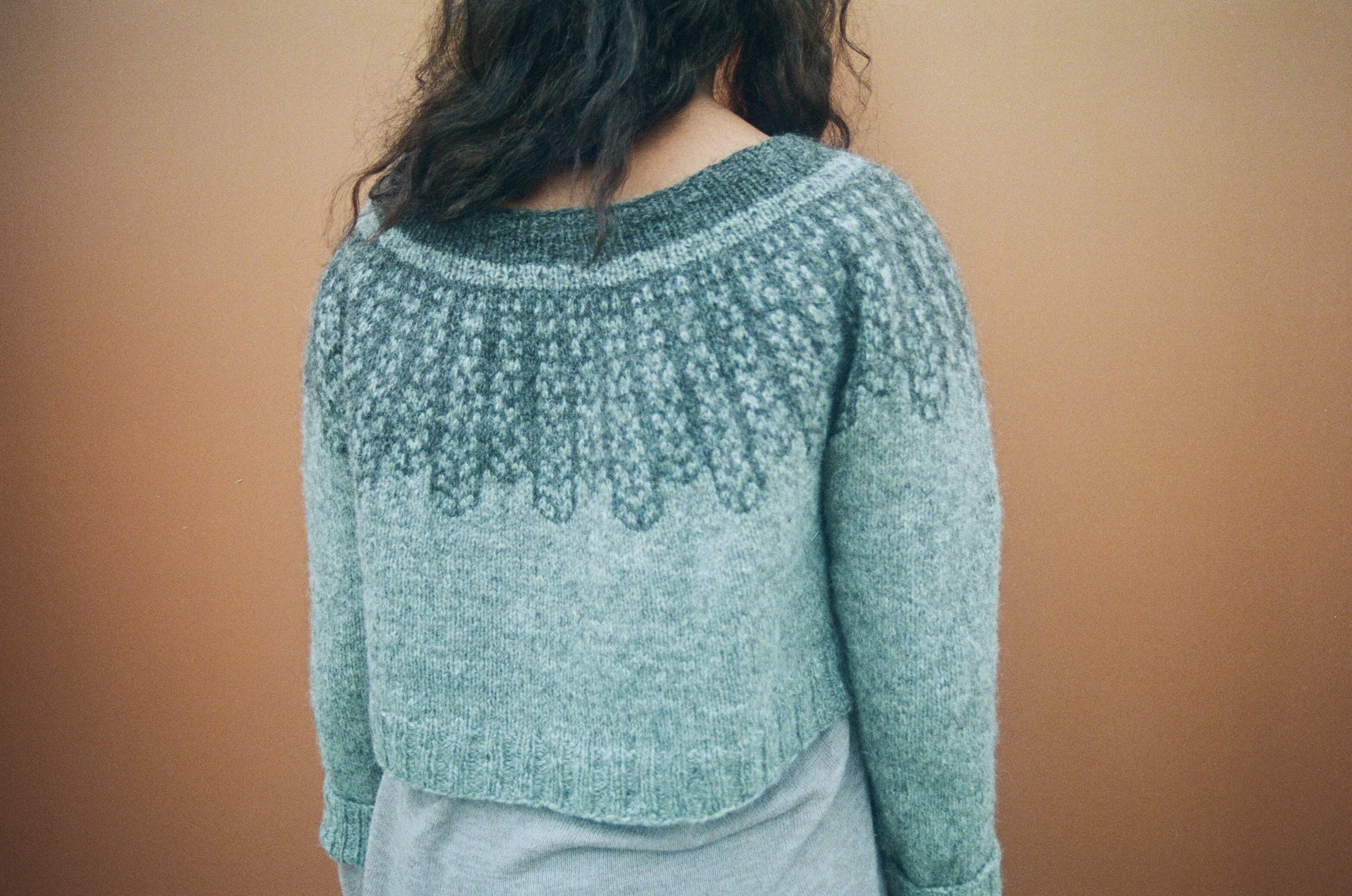 dissent_pullover_4.jpeg
