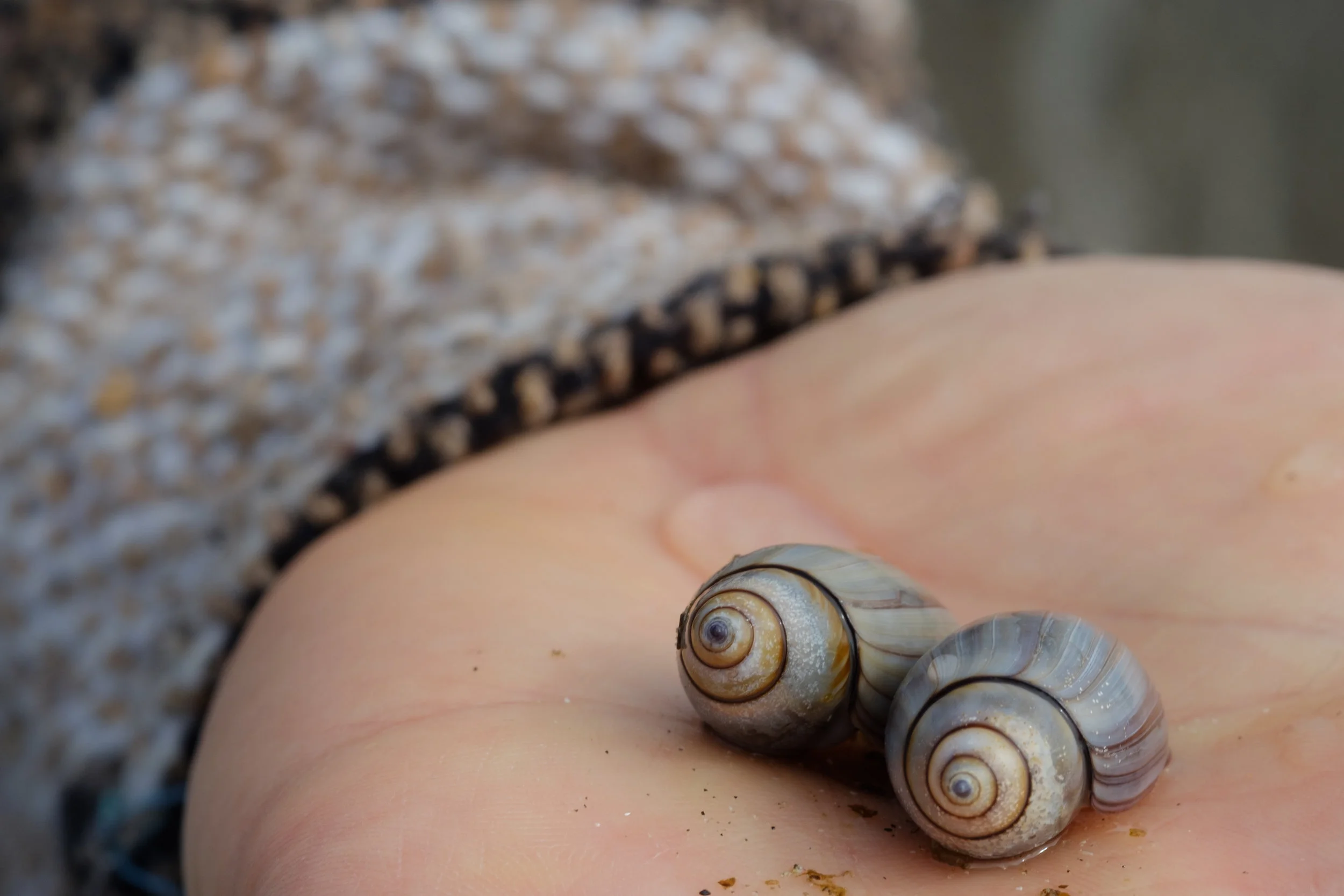 tofino-08-2019-22.jpg