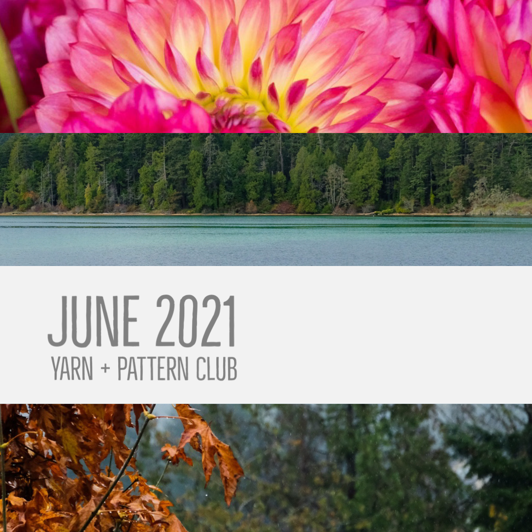 June Yarn + Pattern Club with Gauge Dye Works!