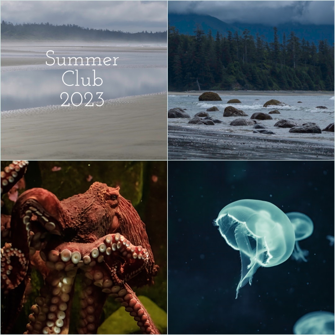 Gauge Summer Club Details