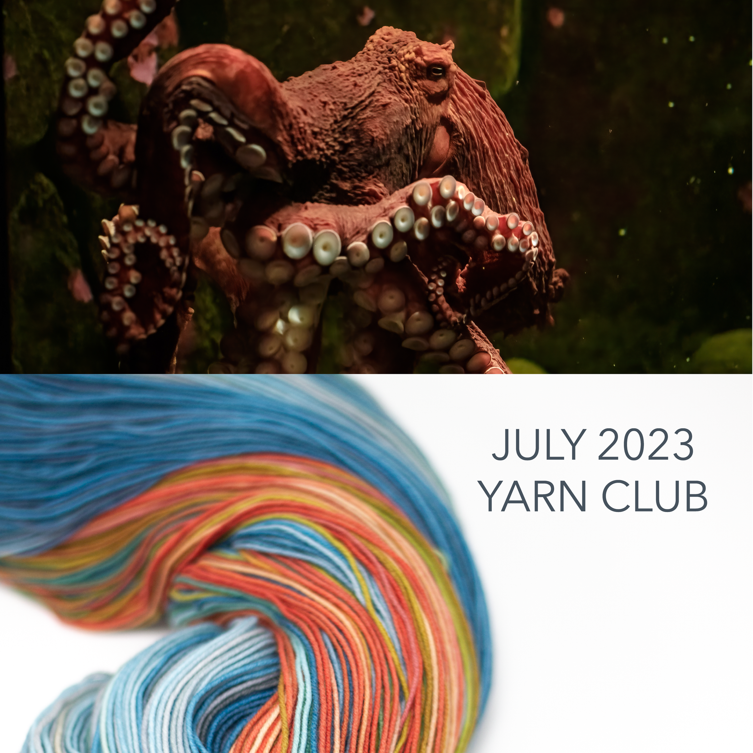 Gauge July Club signups close today!