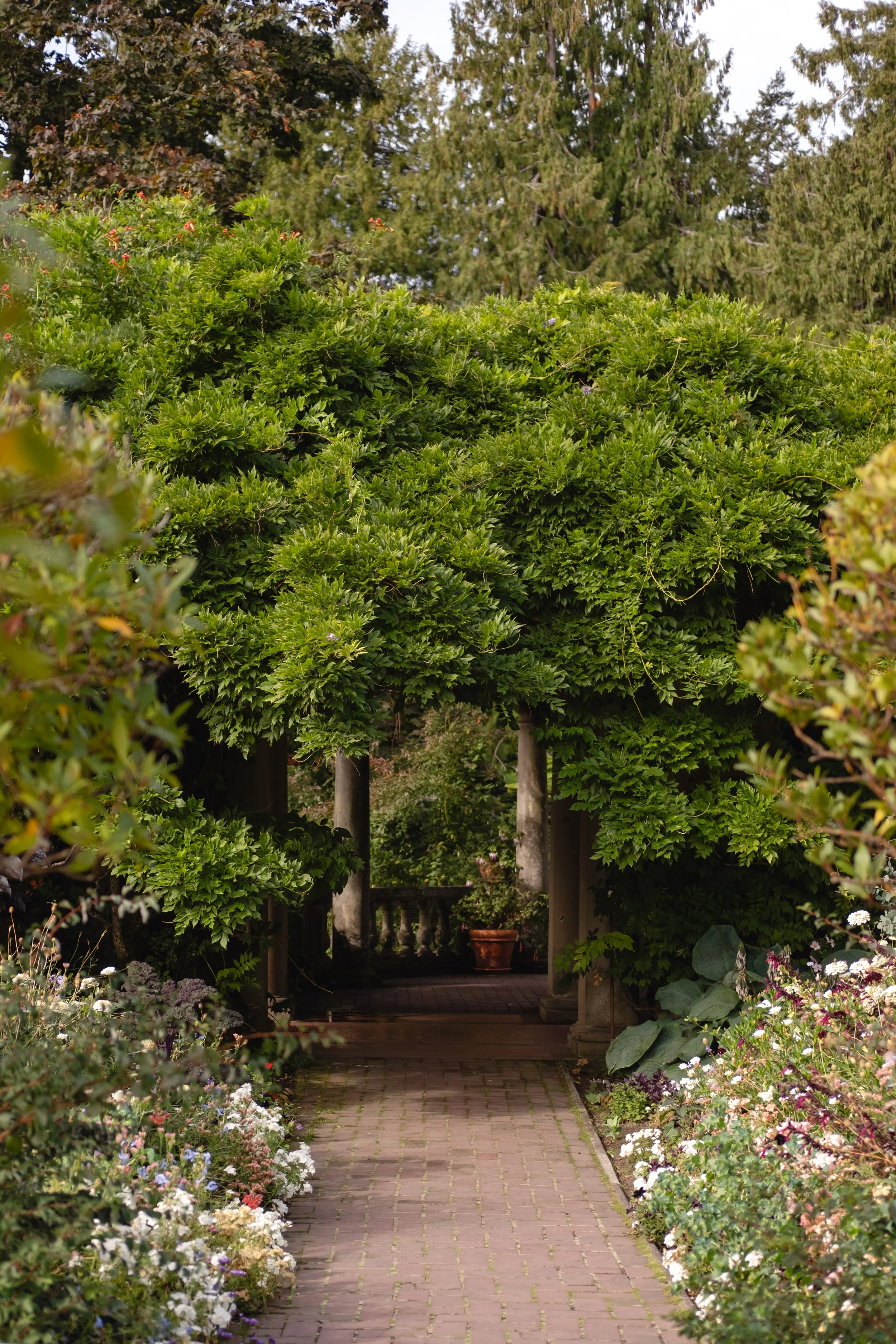 A Garden Stroll