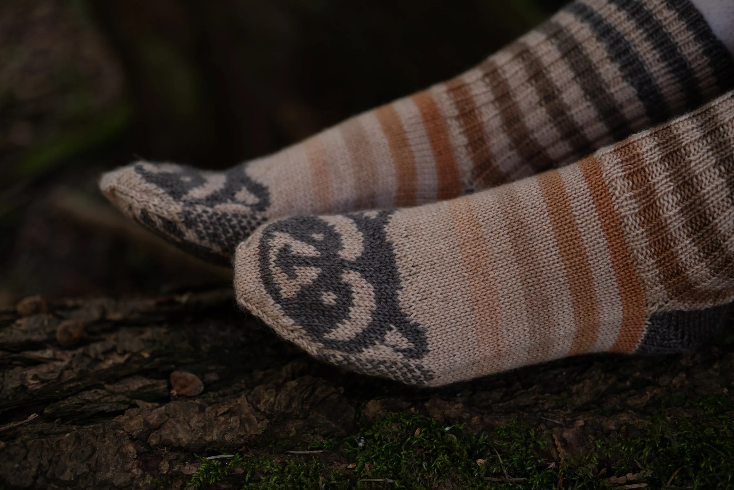 Raccoon Socks 2025-43.jpg