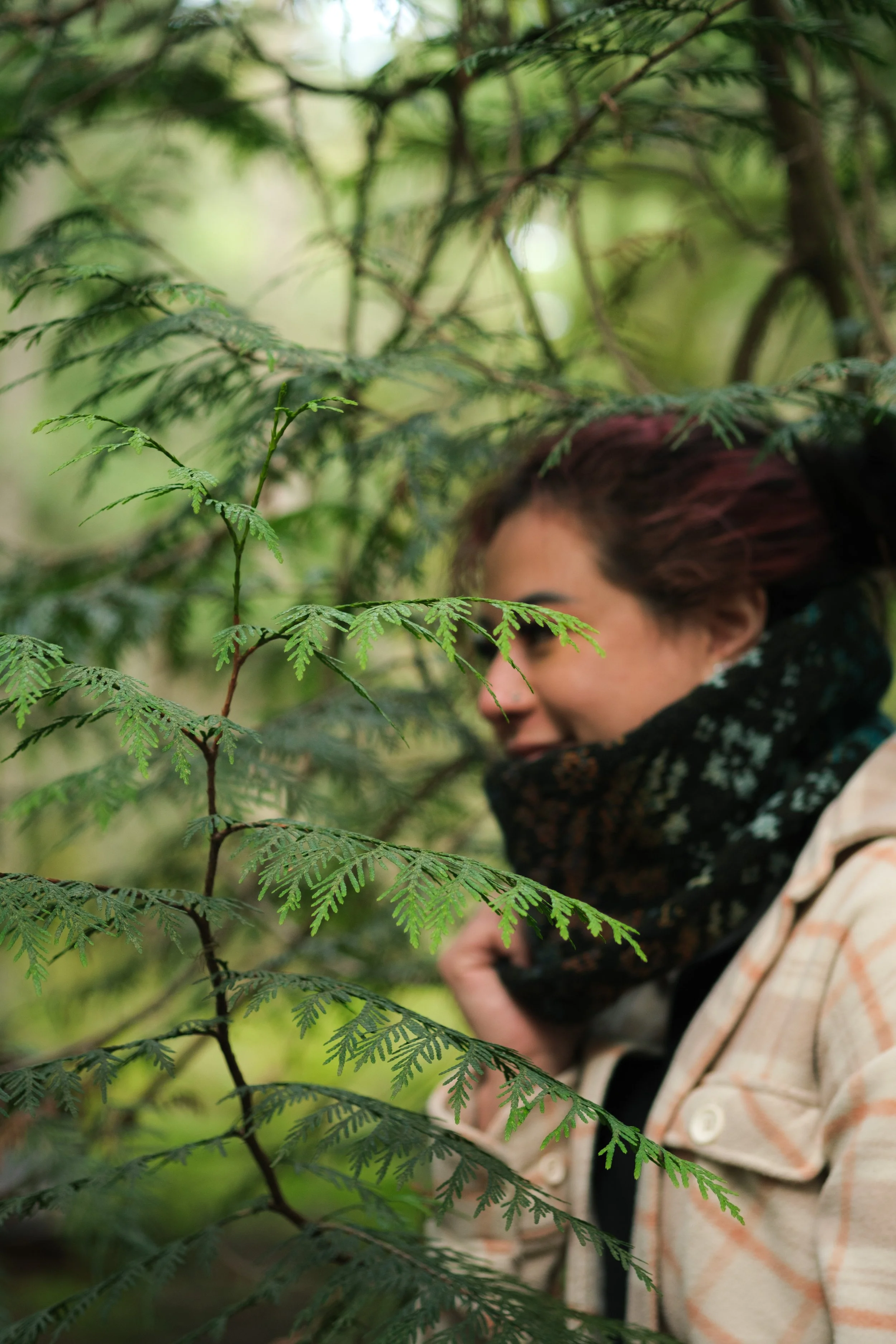 Pauline is obscured behind cedar branches. She's wearing a dark, patterned cowl.