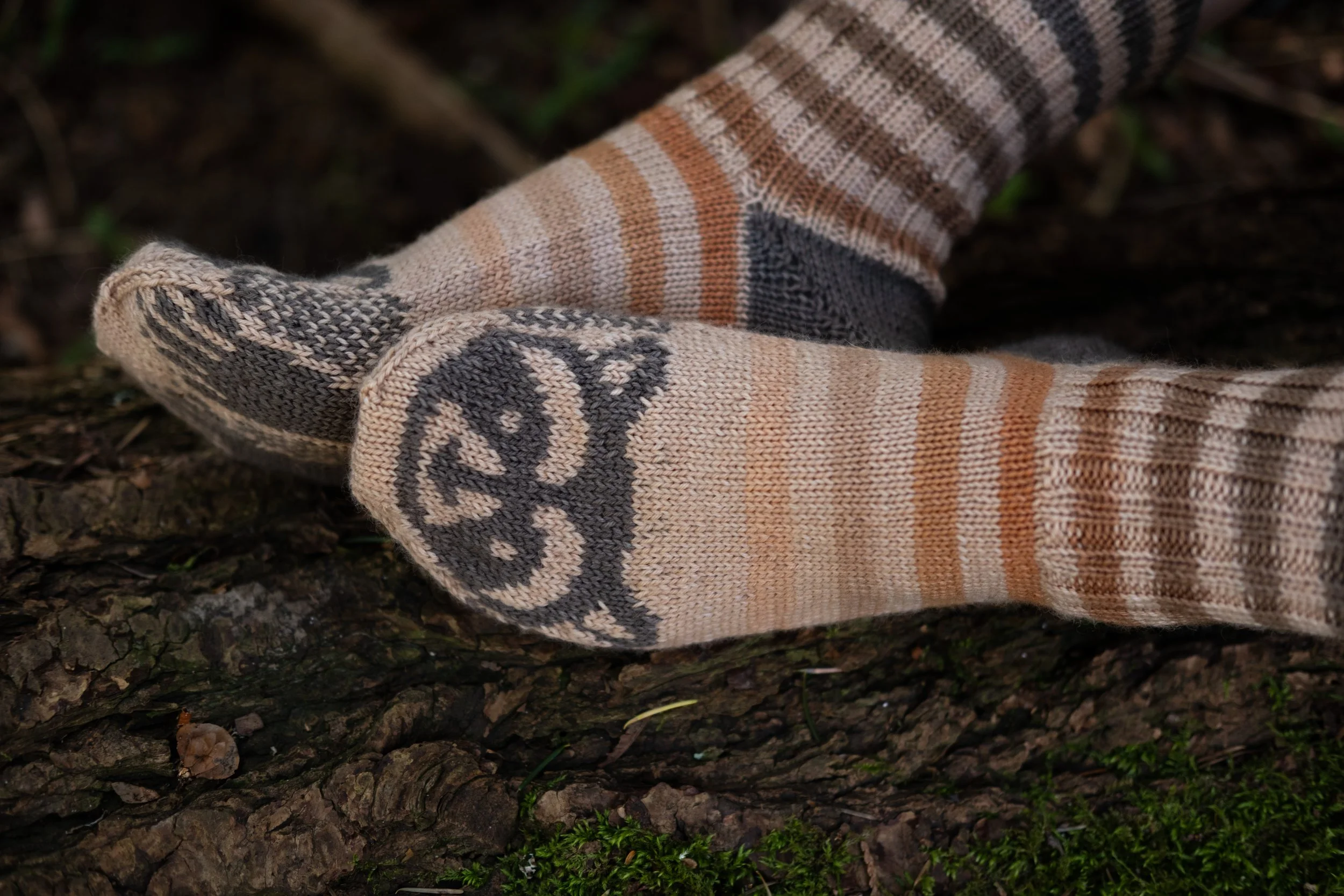 Raccoon Socks 2025-66.jpg
