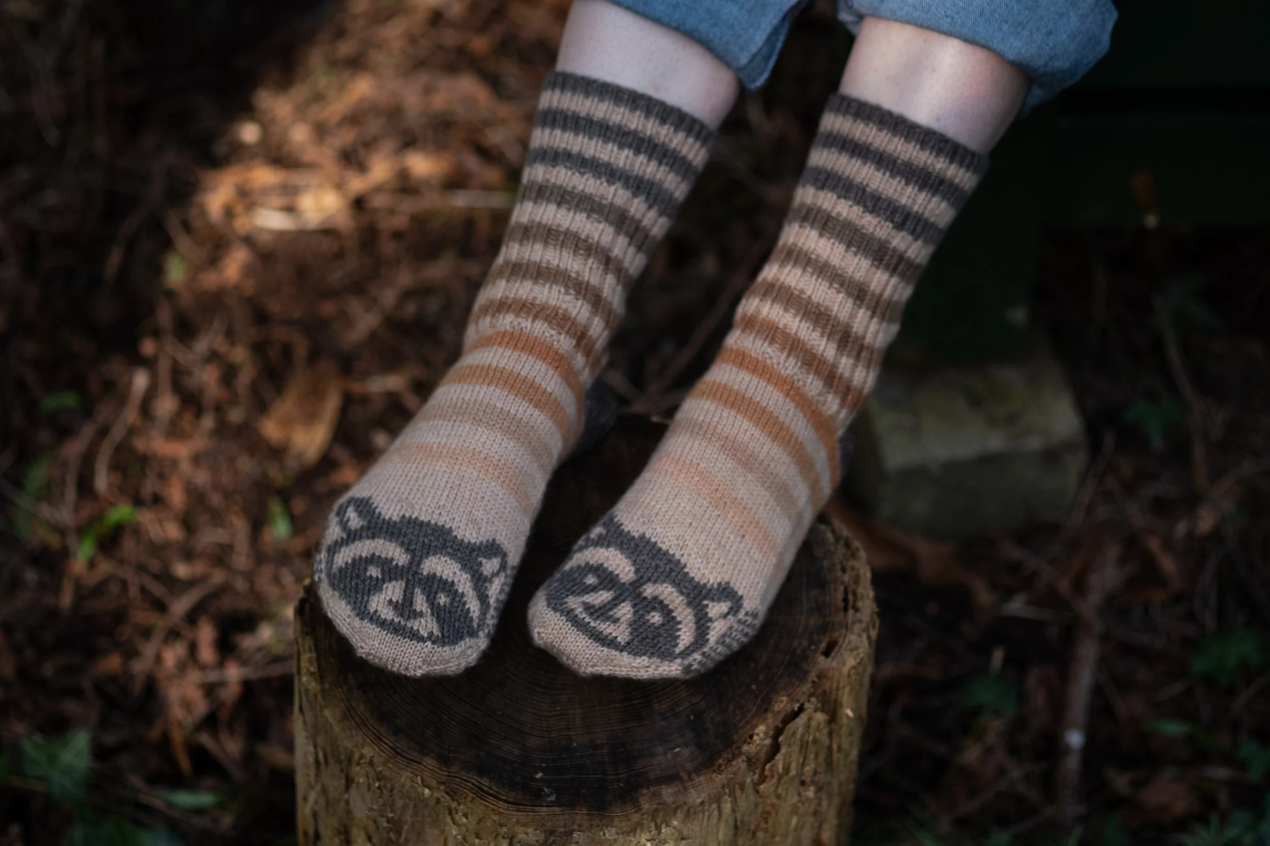 Raccoon Socks 2025-8.jpg