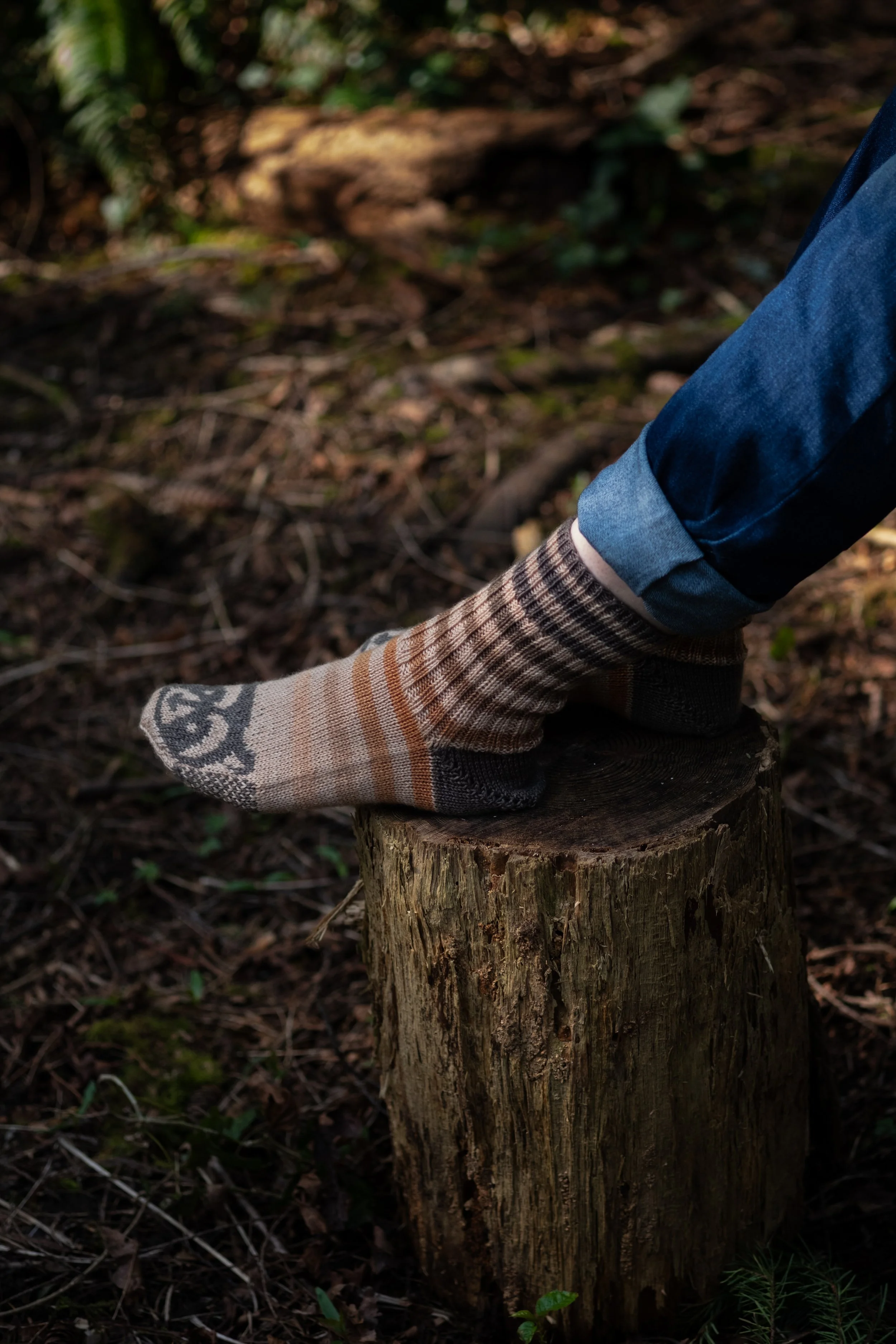 Raccoon Socks 2025-9.jpg