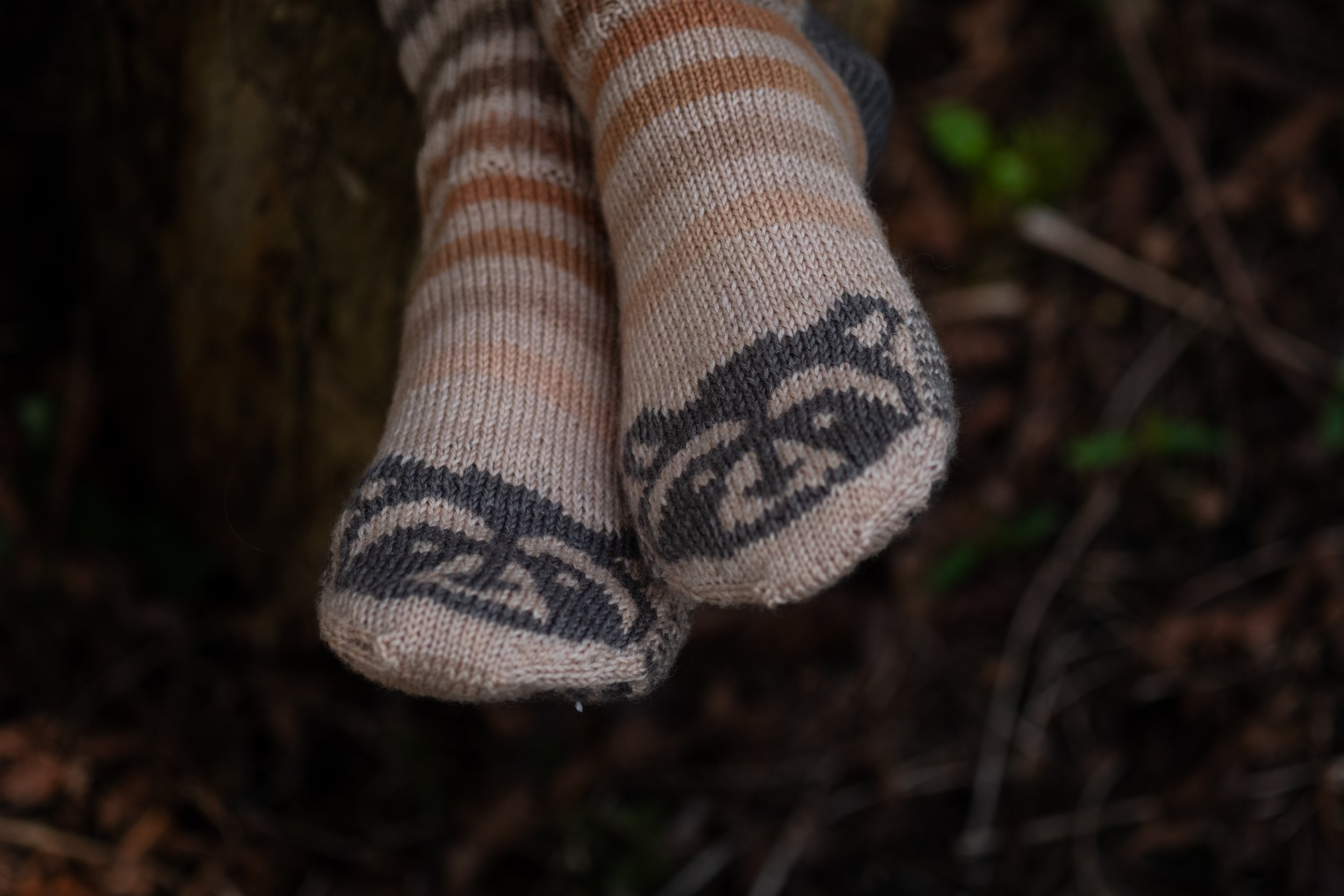 Raccoon Socks 2025-15.jpg