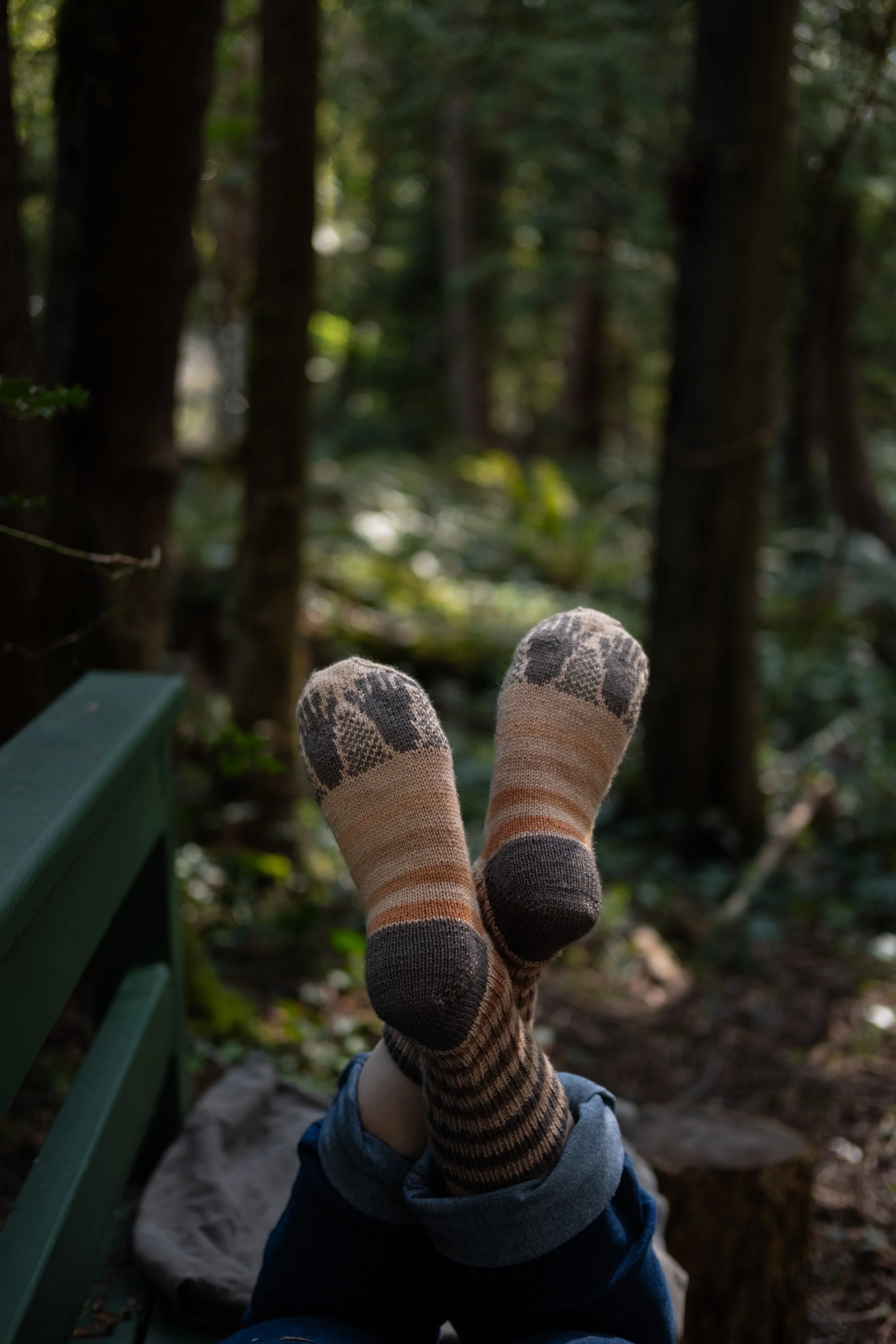 Raccoon Socks 2025-29.jpg