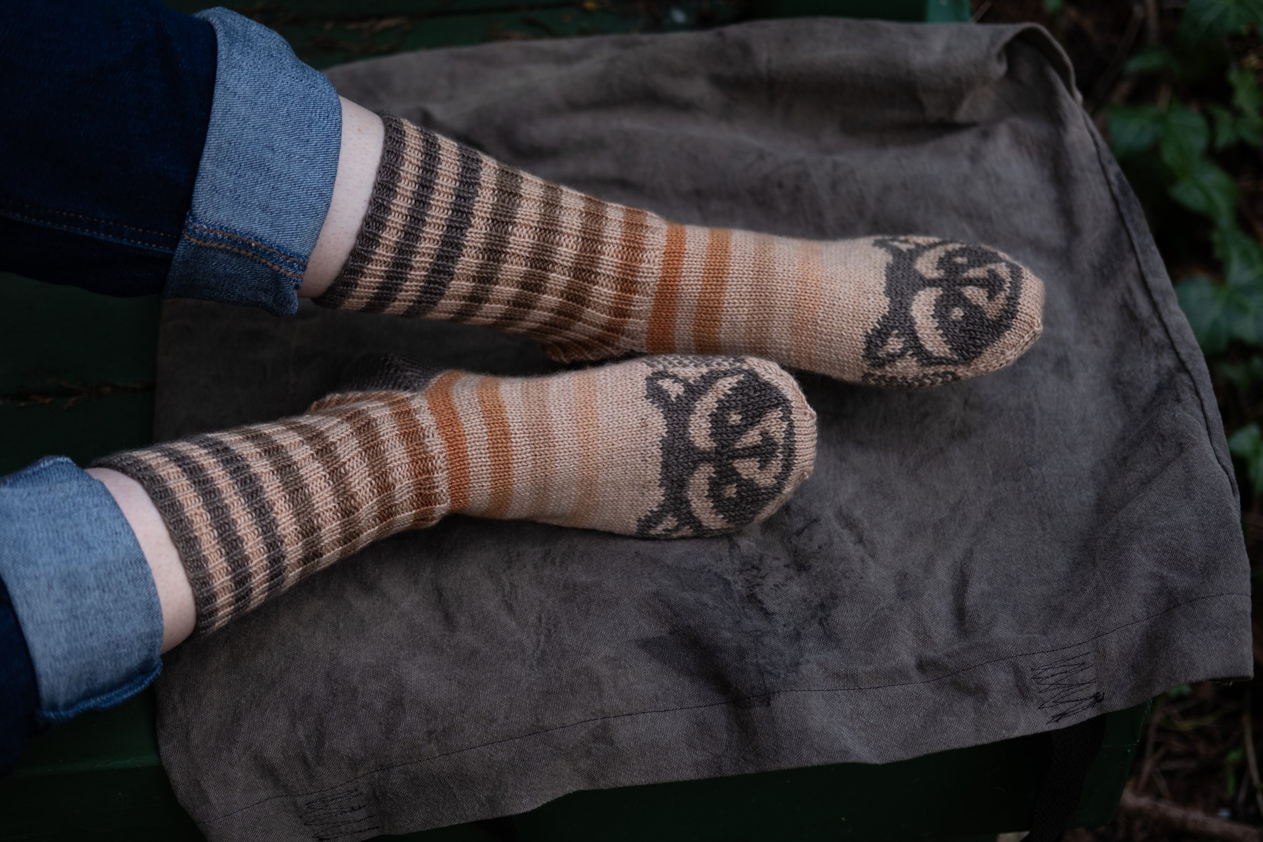 Raccoon Socks 2025-26.jpg