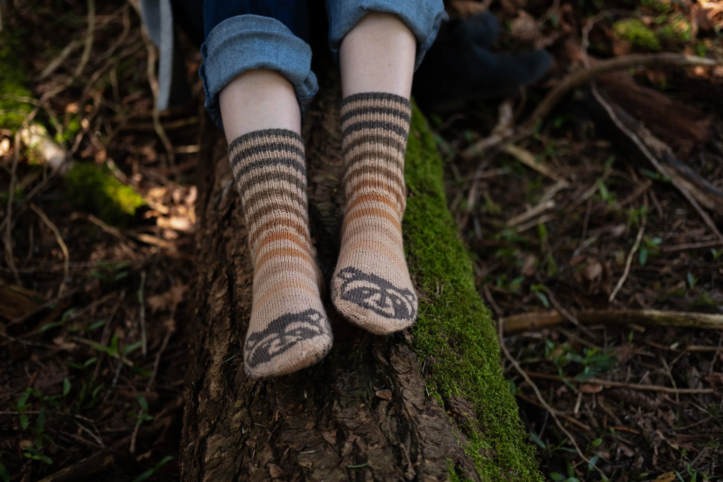 Raccoon Socks 2025-49.jpg