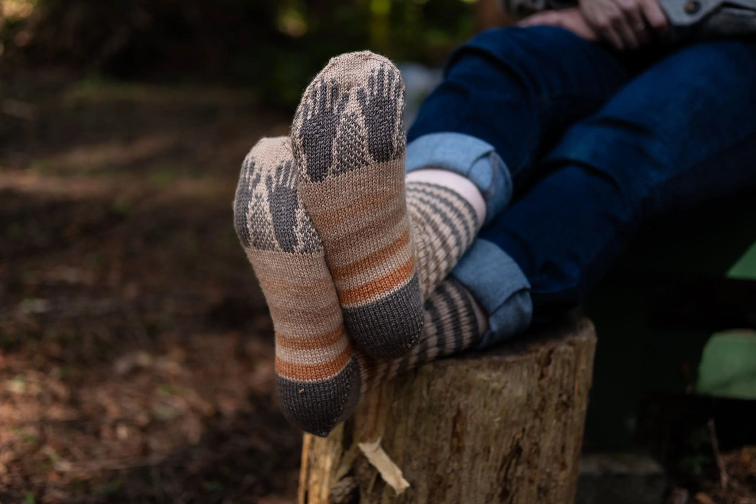 Raccoon Socks 2025-22.jpg