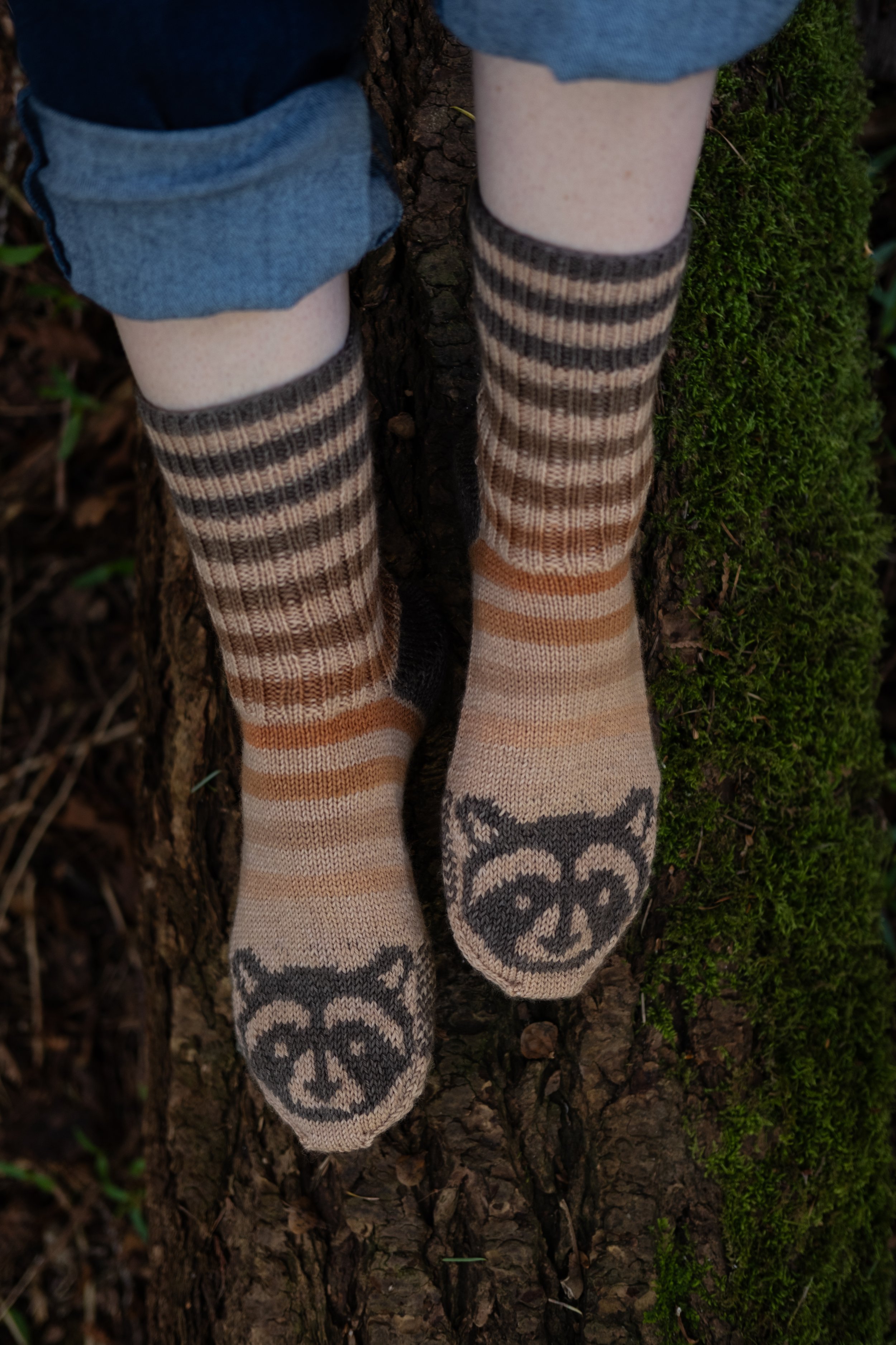 Raccoon Socks 2025-42.jpg