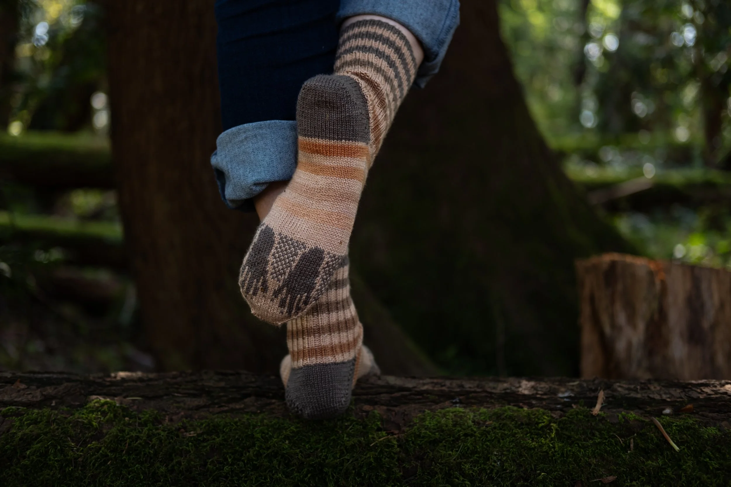Raccoon Socks 2025-71.jpg