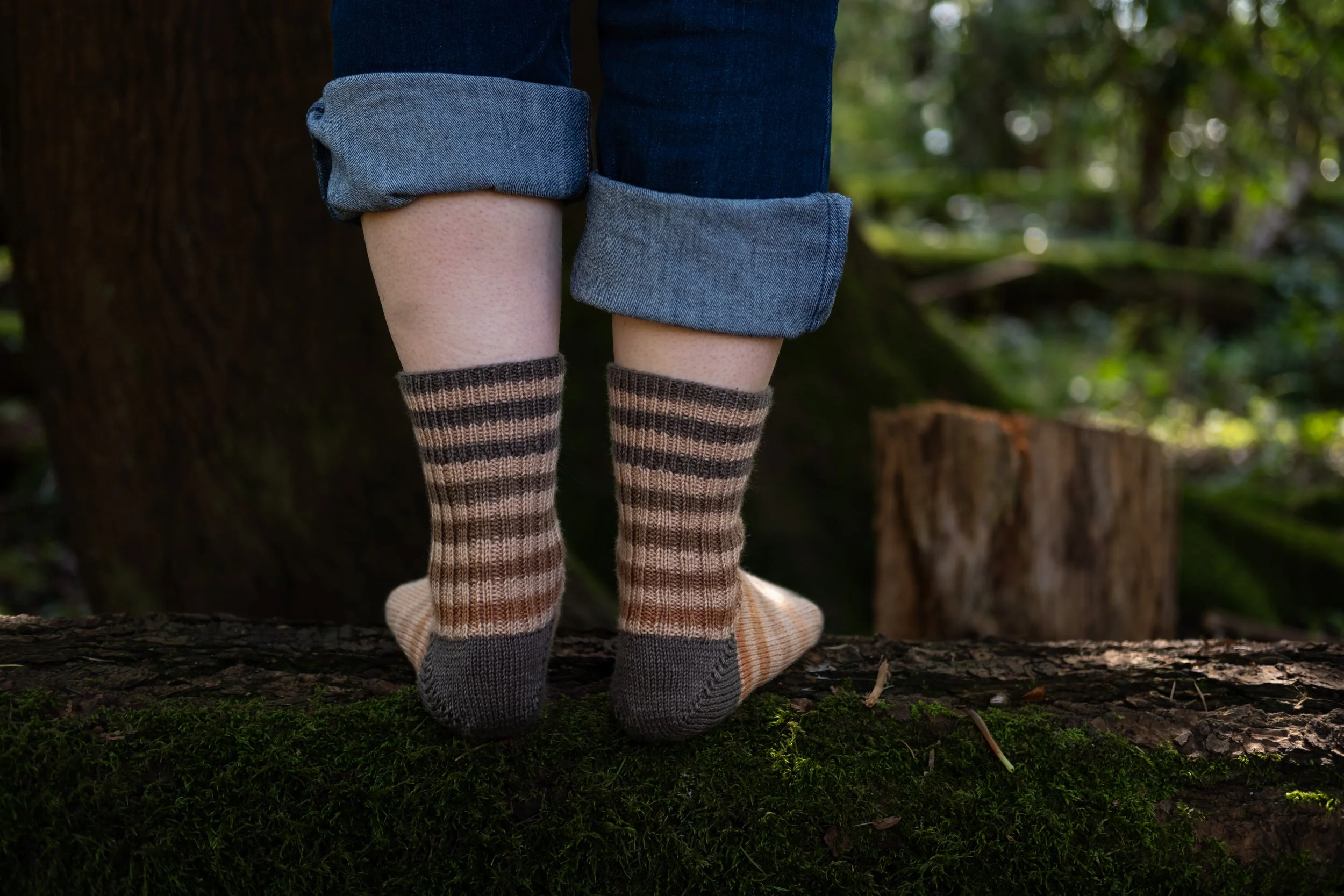 Raccoon Socks 2025-69.jpg