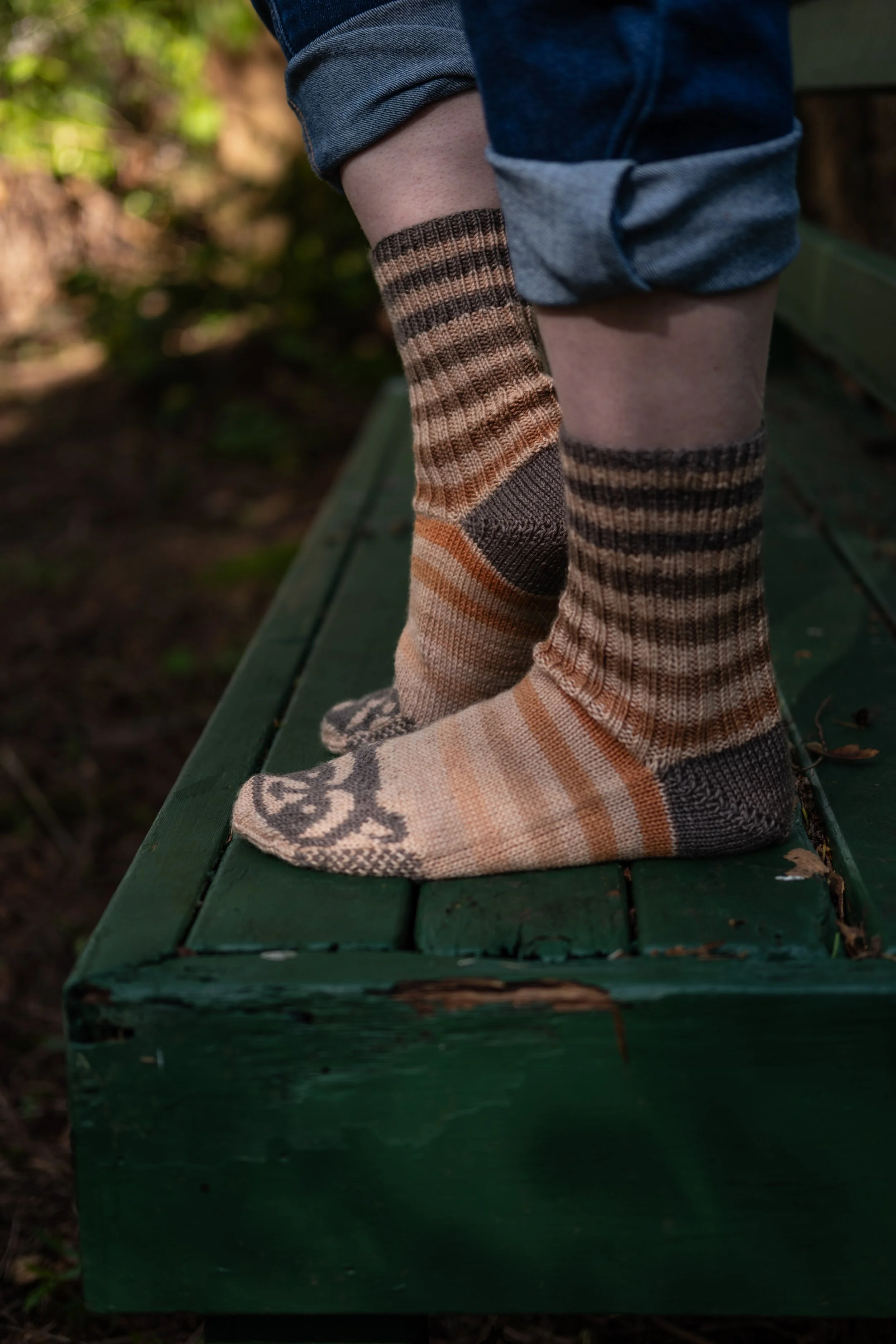 Raccoon Socks 2025-32.jpg