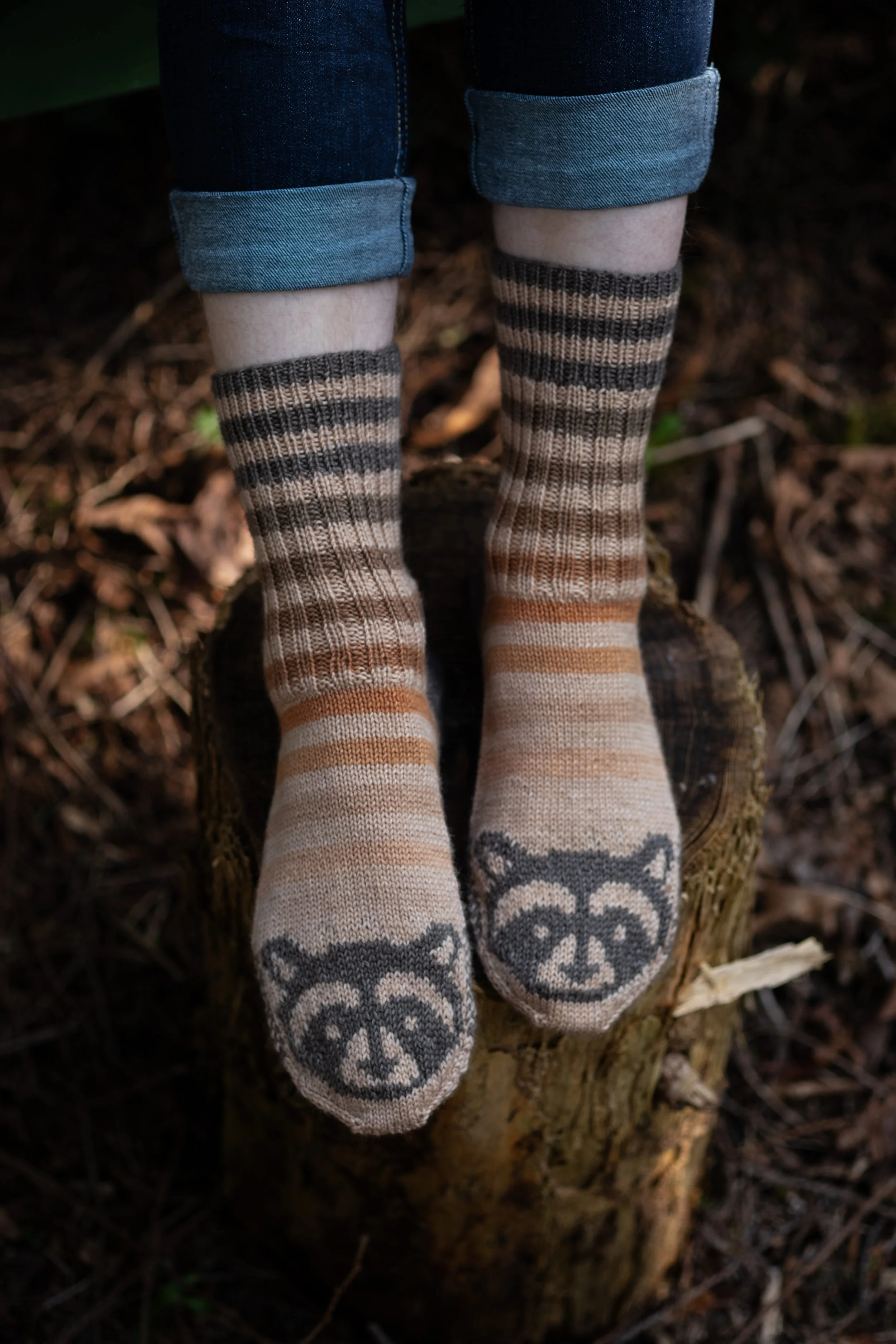 Raccoon Socks 2025-4.jpg