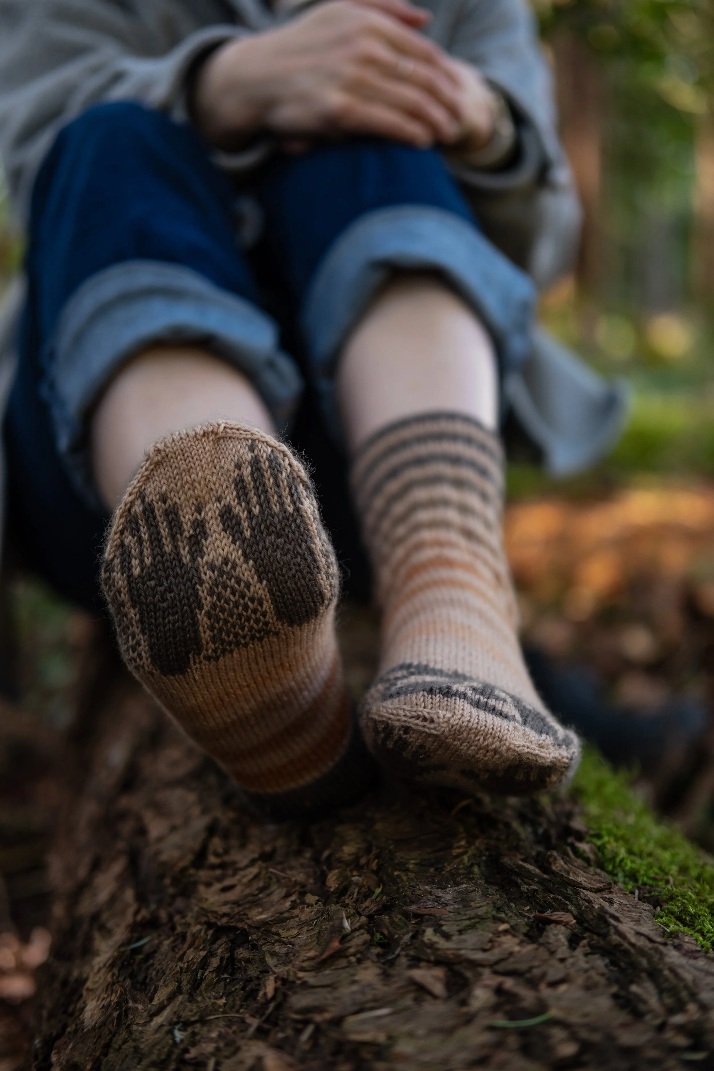 Raccoon Socks 2025-56.jpg