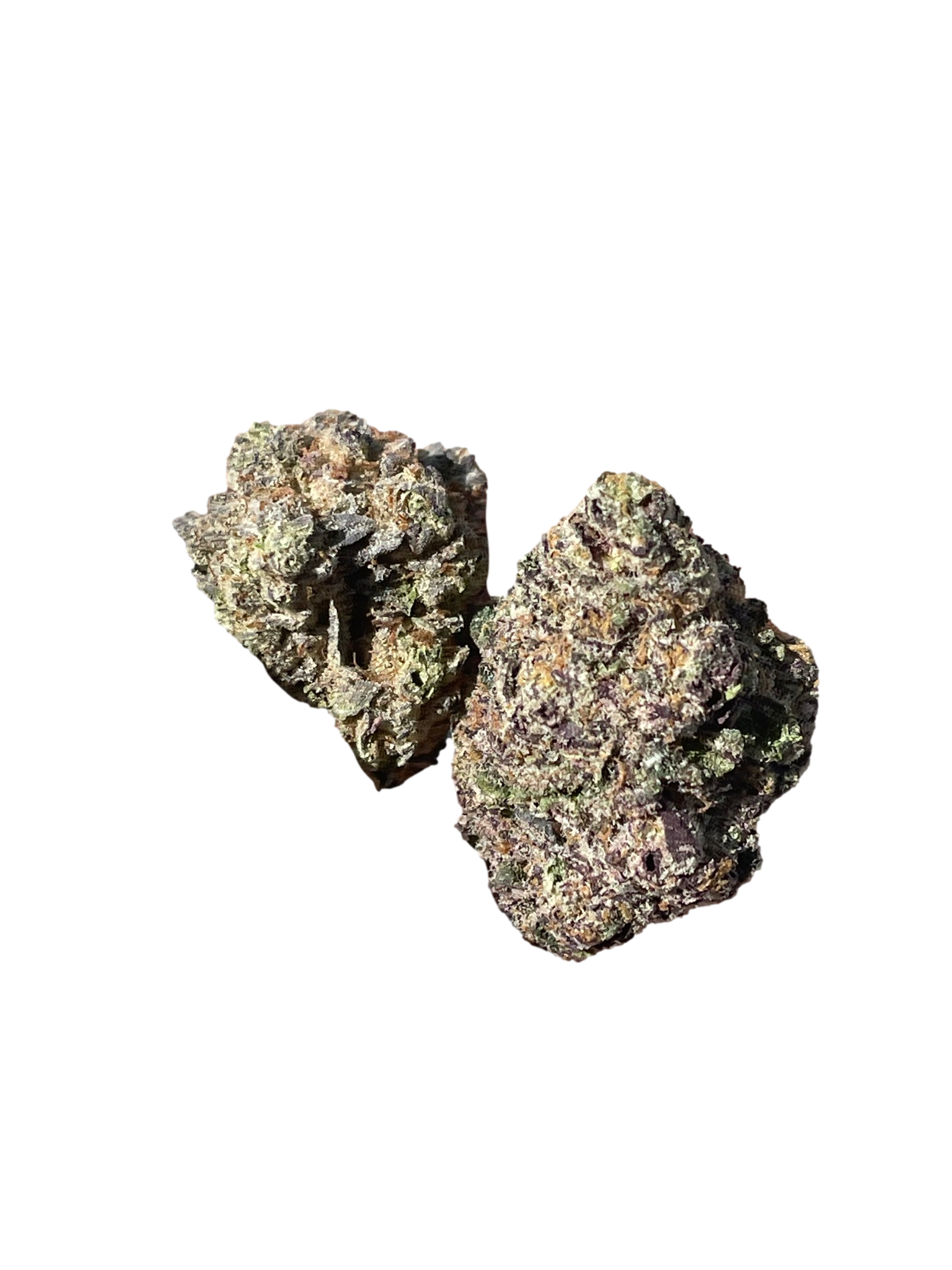 Small Batch Exotic Flower