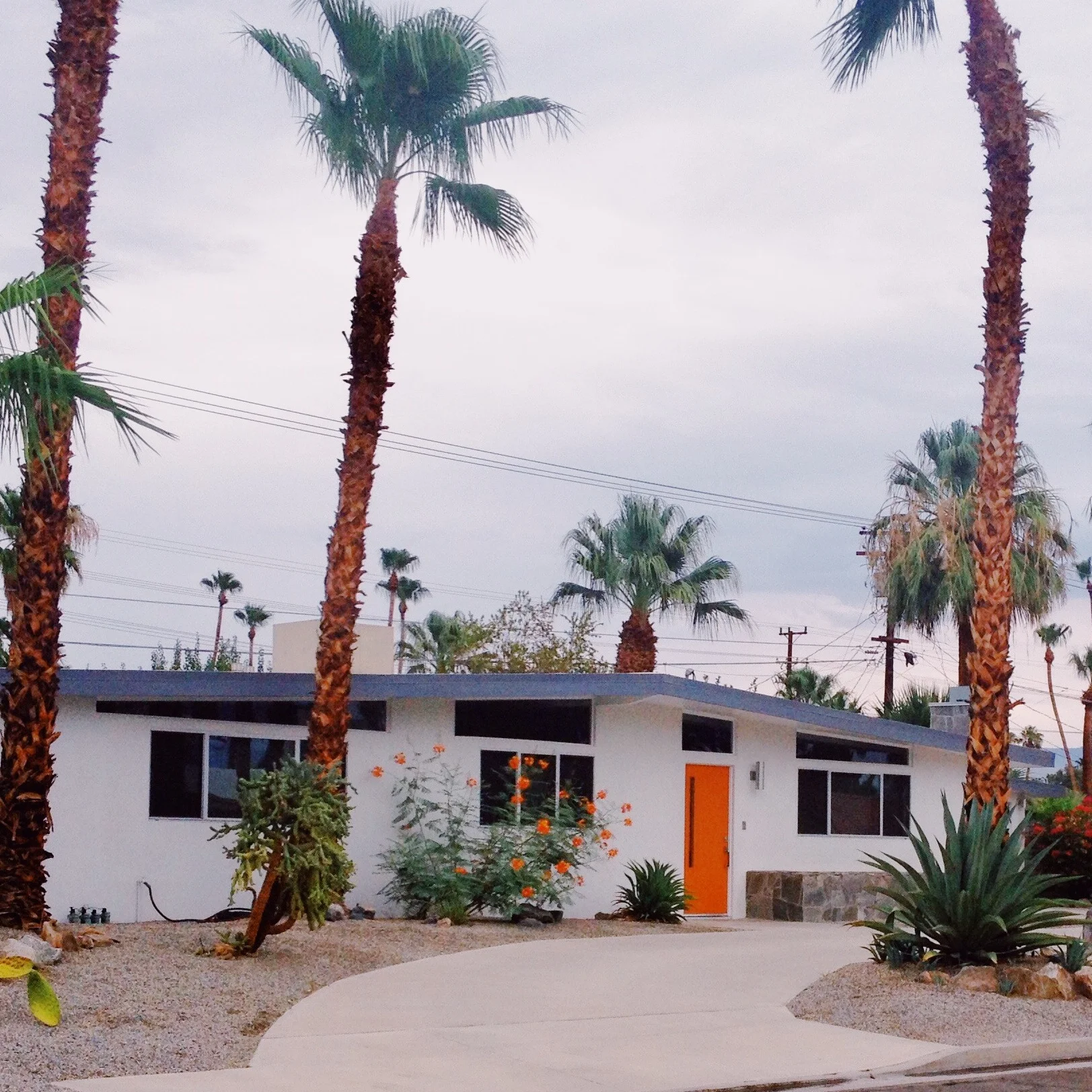 Palm Springs Mid Century Home.jpg
