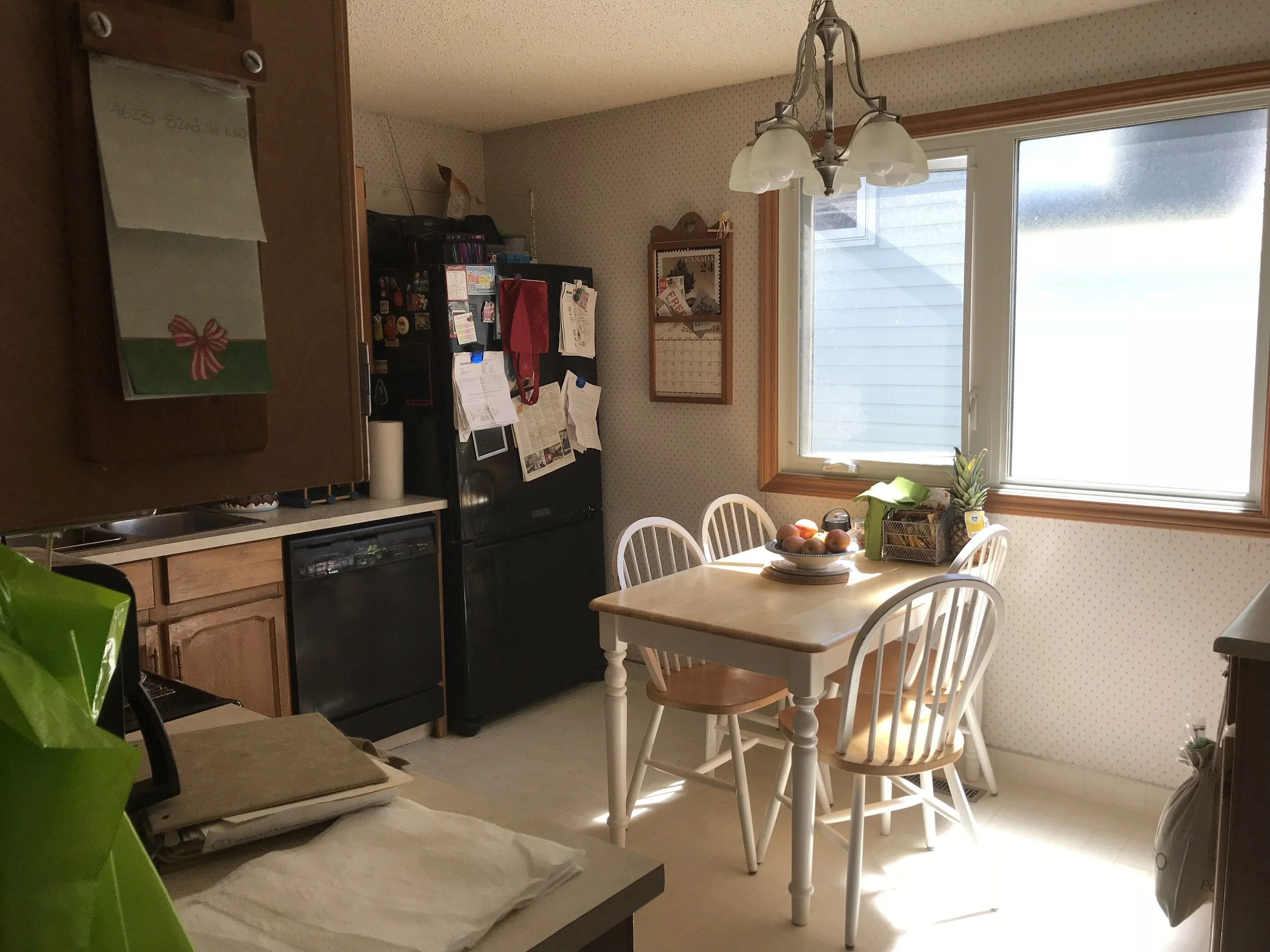 Scenic Acres Kitchen Before 1.jpg