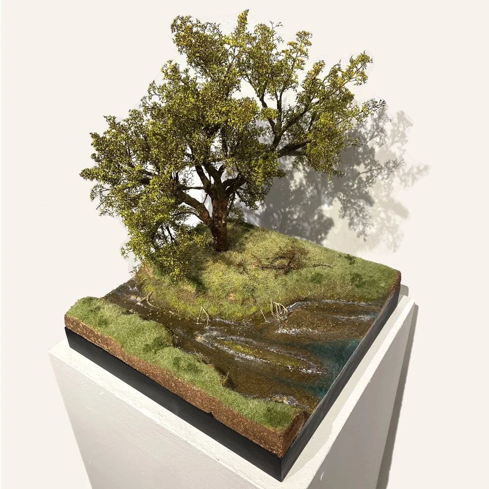 COTTONWOOD TREE WITH STREAM  The Artists Gallery
