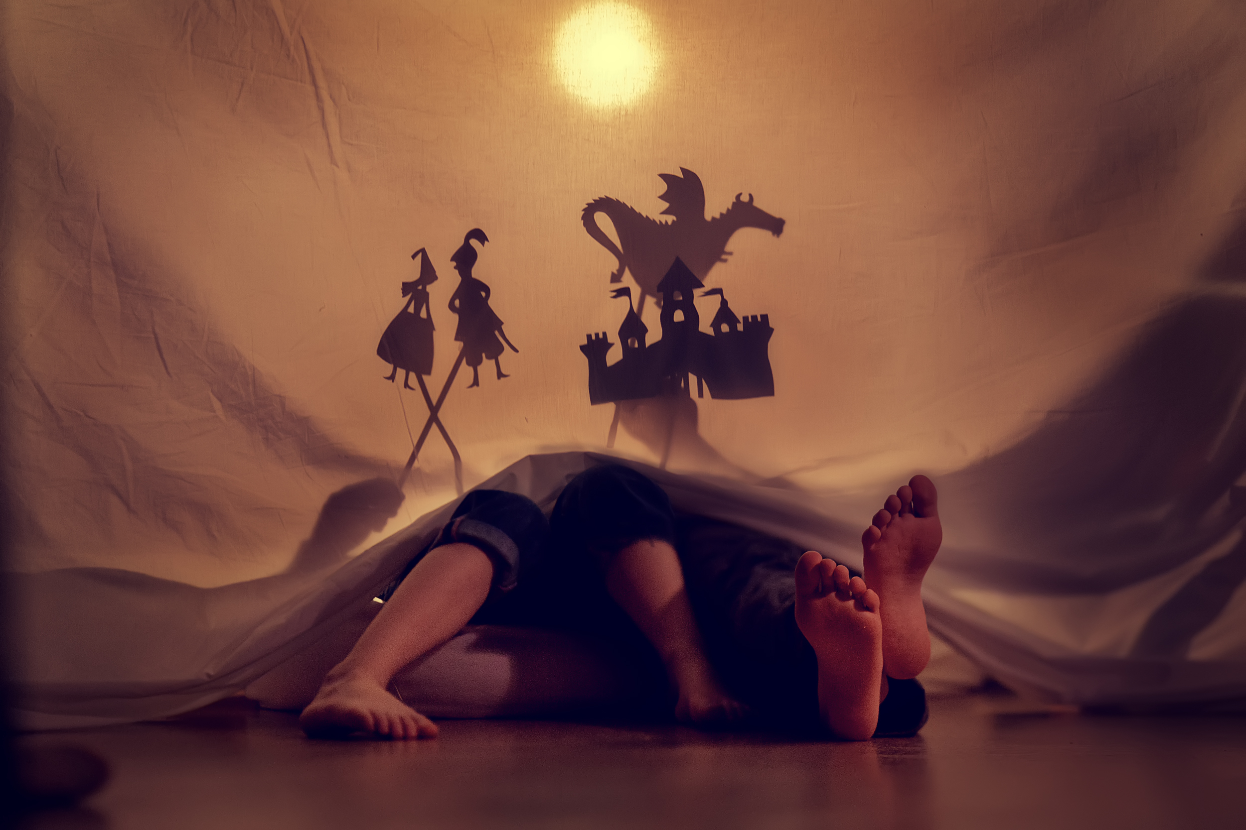 shadow puppets_ss_578902846.jpg