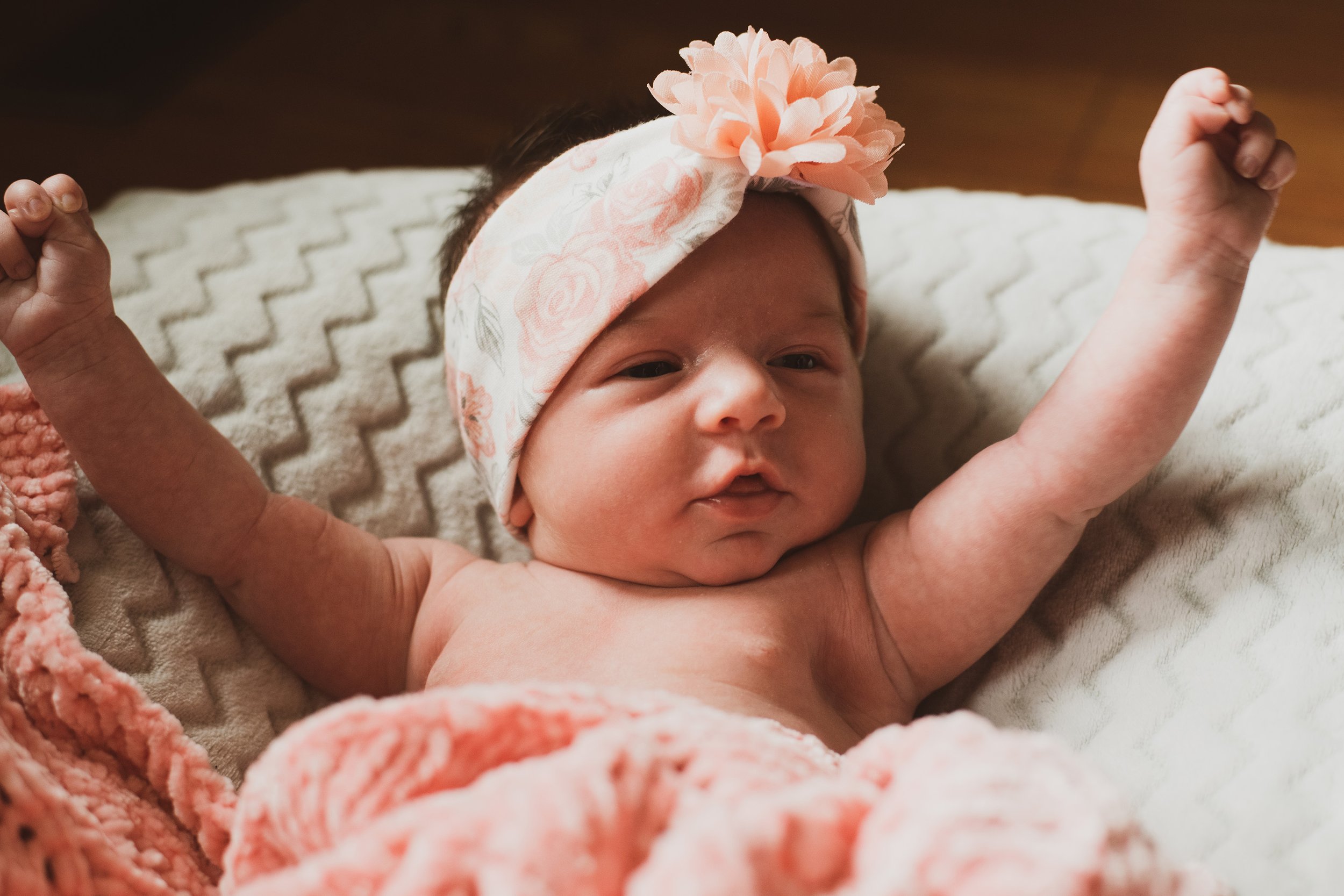 Finnley Smaller File Sizer.jpg